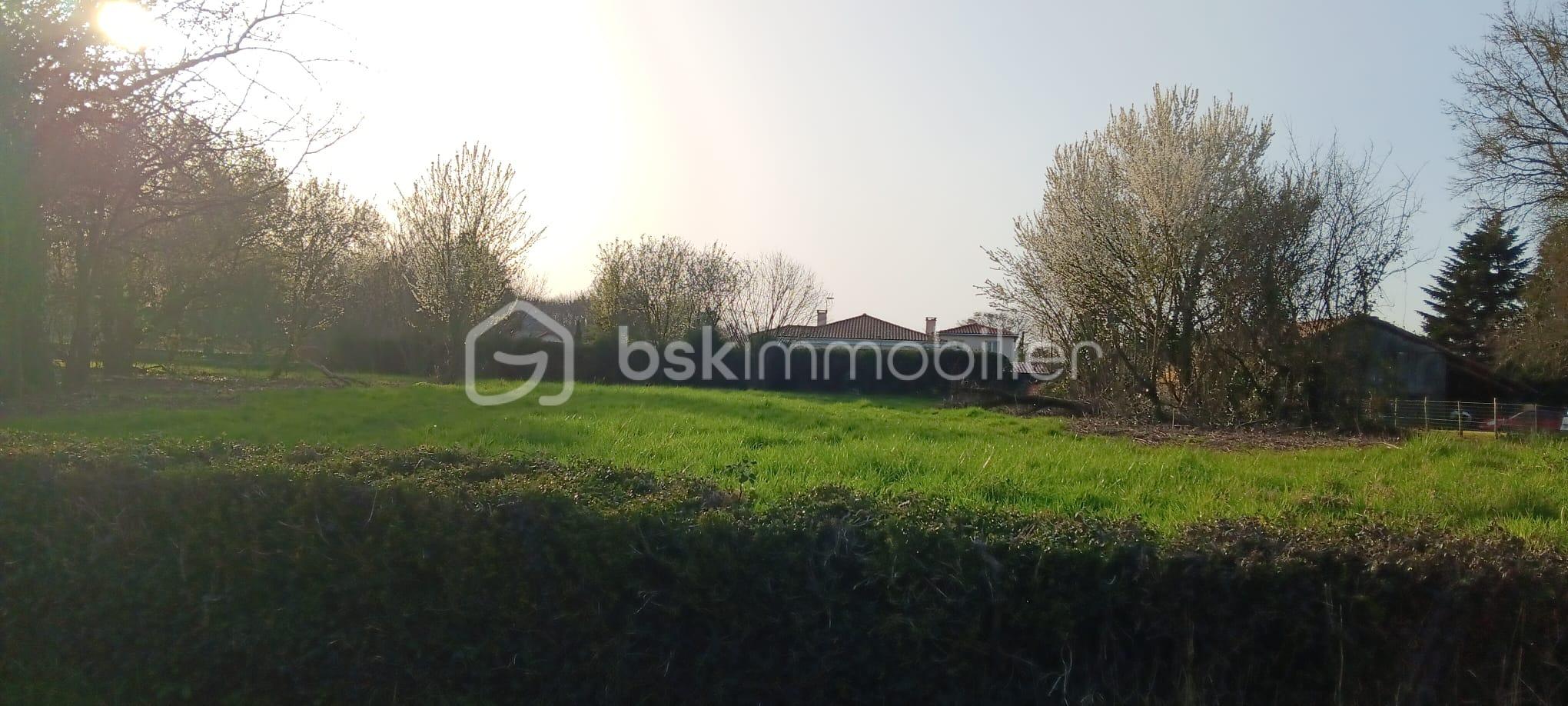 WhatsApp Image 2026-03-04 at 17.39.19.jpeg