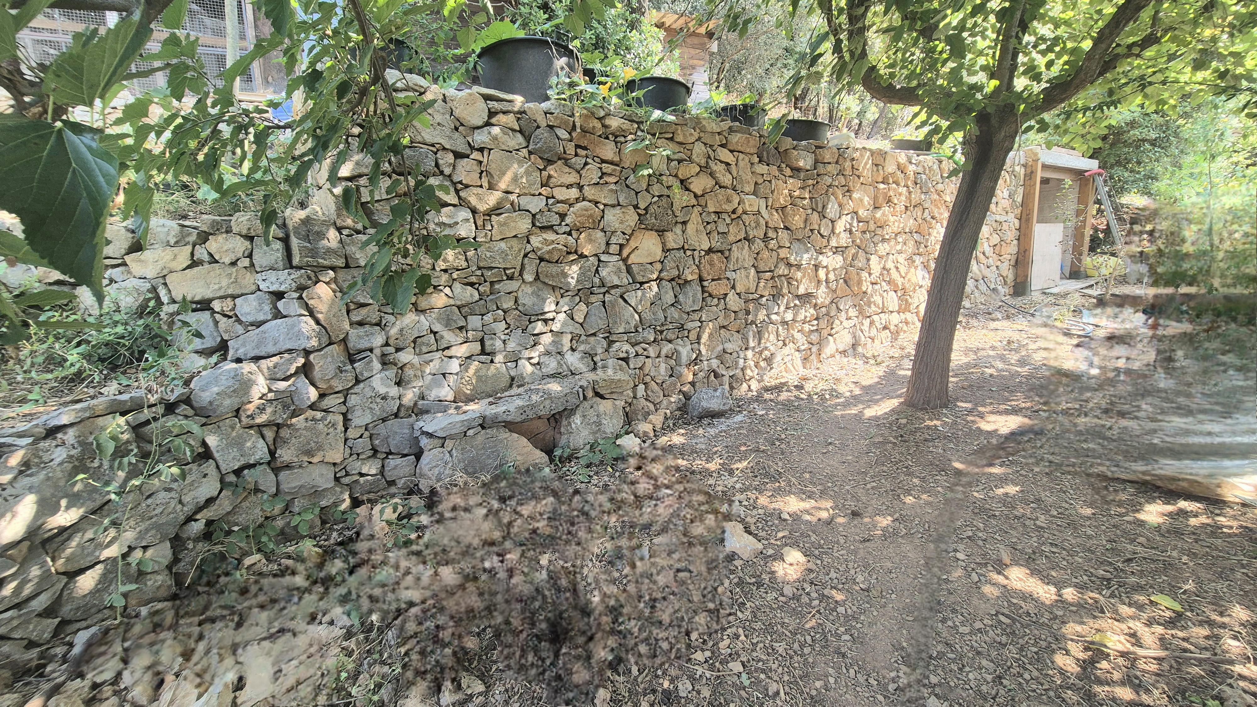 Maison de 100 m² - 20250806_113656.jpg