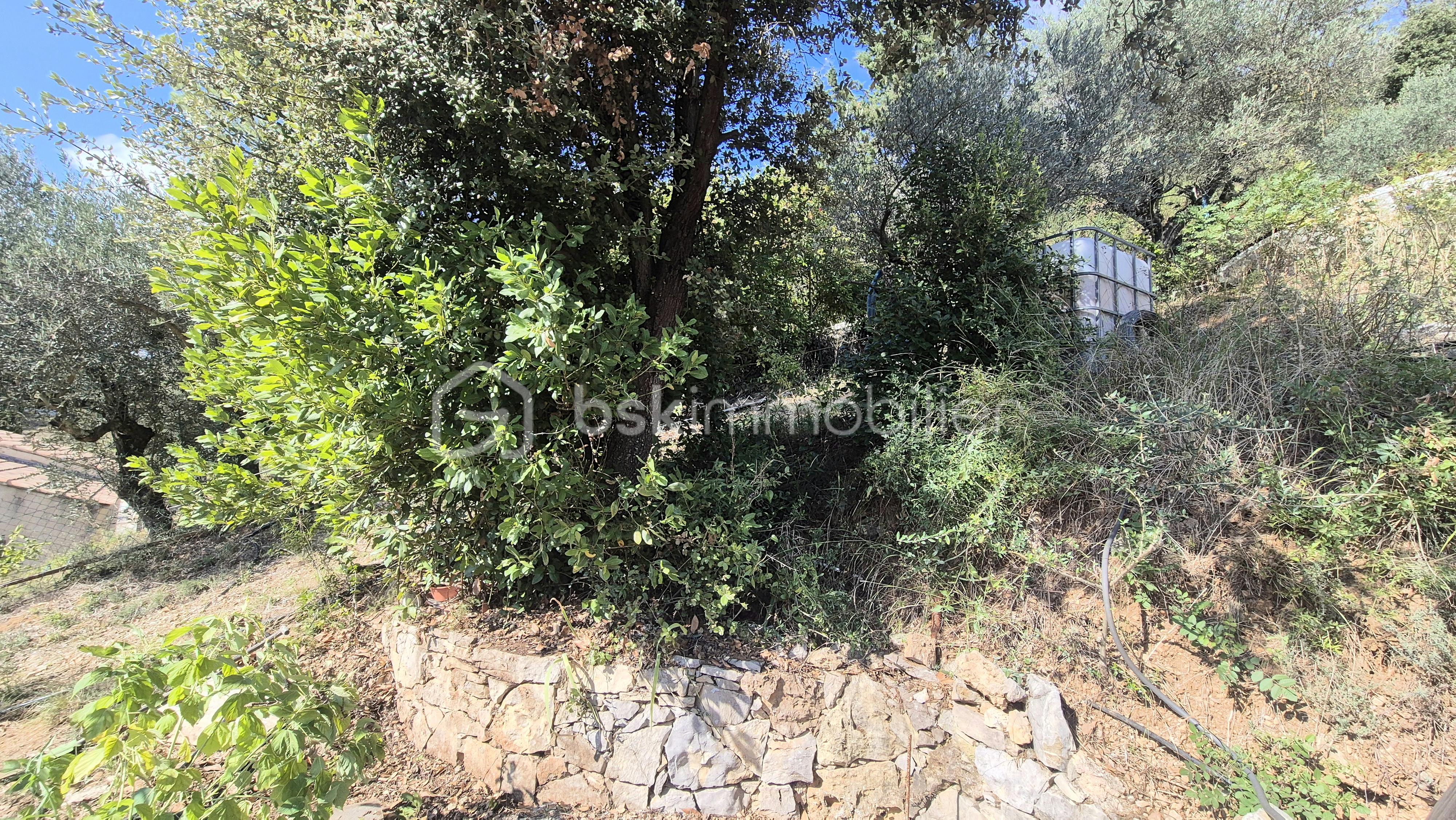 Maison de 100 m² - 20250926_152948.jpg