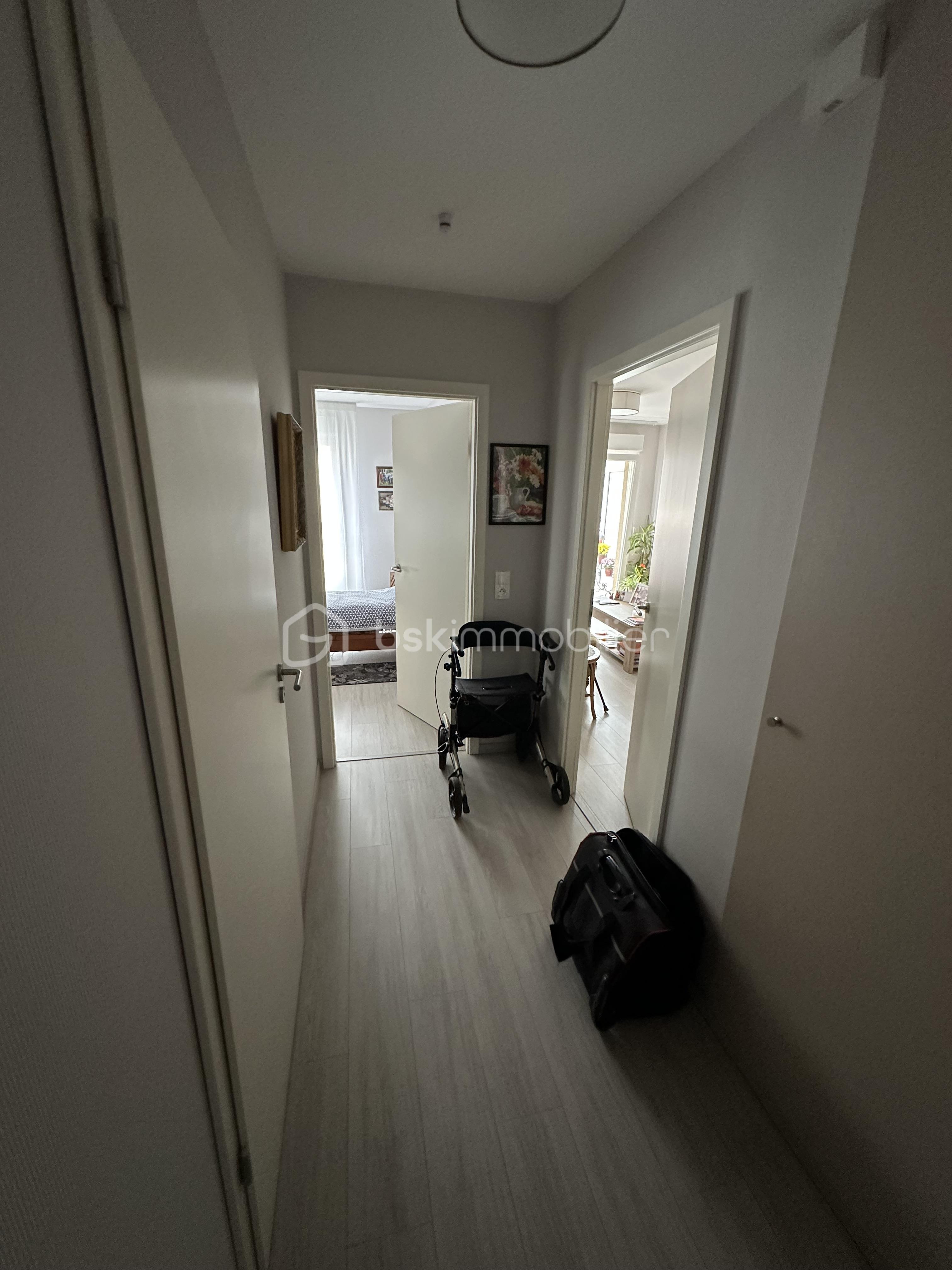 IMG_2337.jpeg