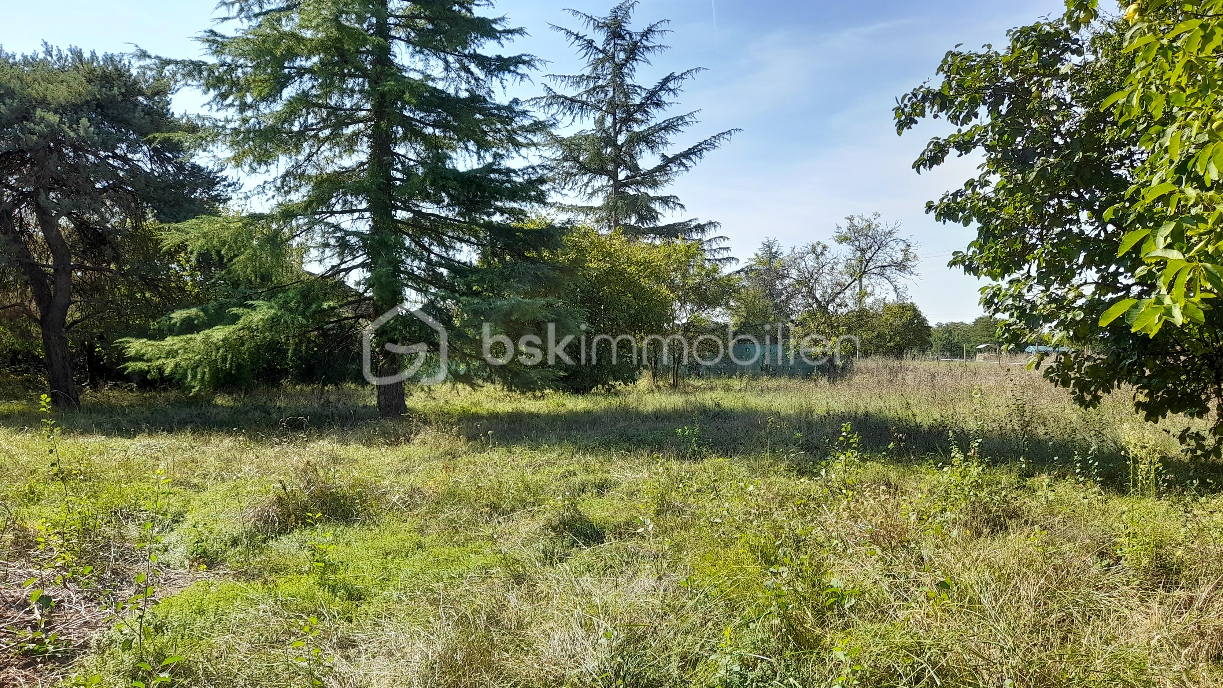Terrain de 1 069 m² - 20230908_114117.jpg