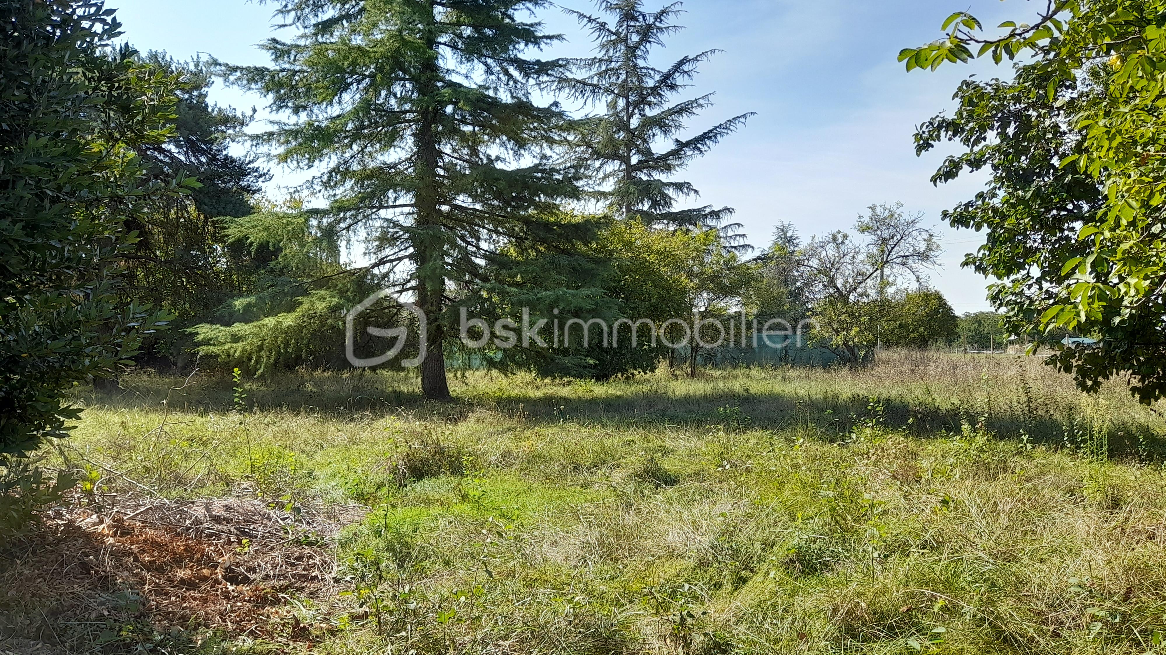 Terrain de 1 069 m² - 20230908_114336.jpg