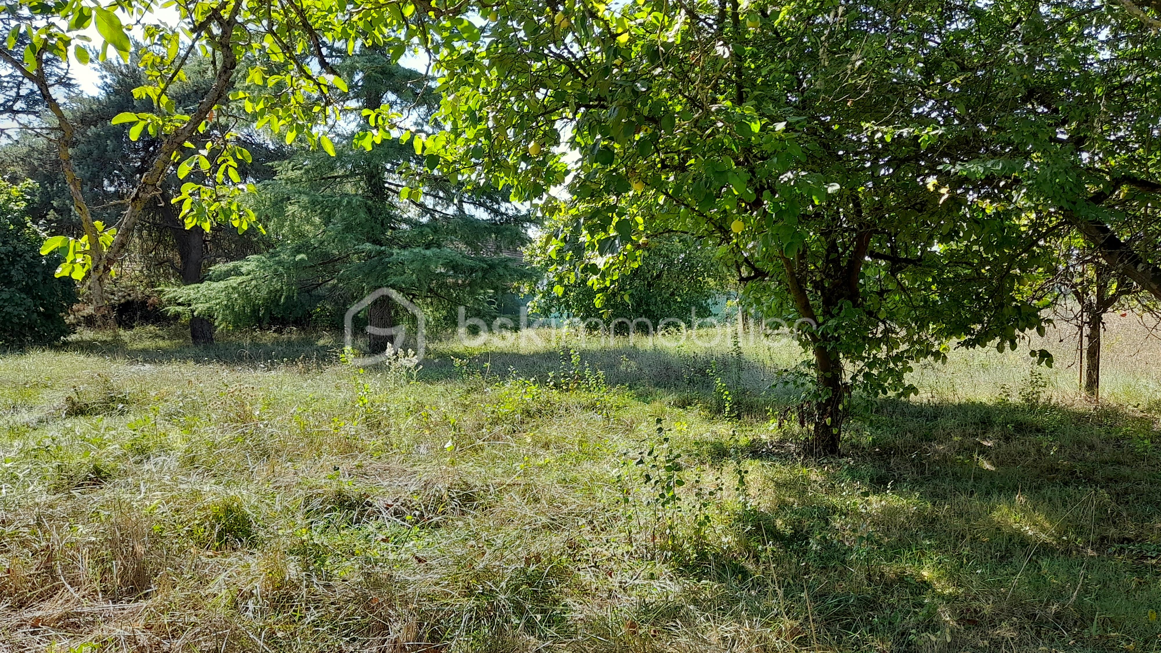 Terrain de 1 069 m² - 20230908_114239.jpg
