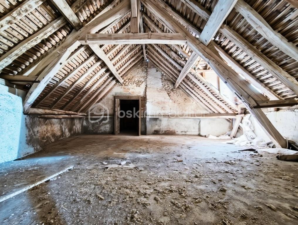 Maison de 93 m² - grenier nu avec porte.jpg