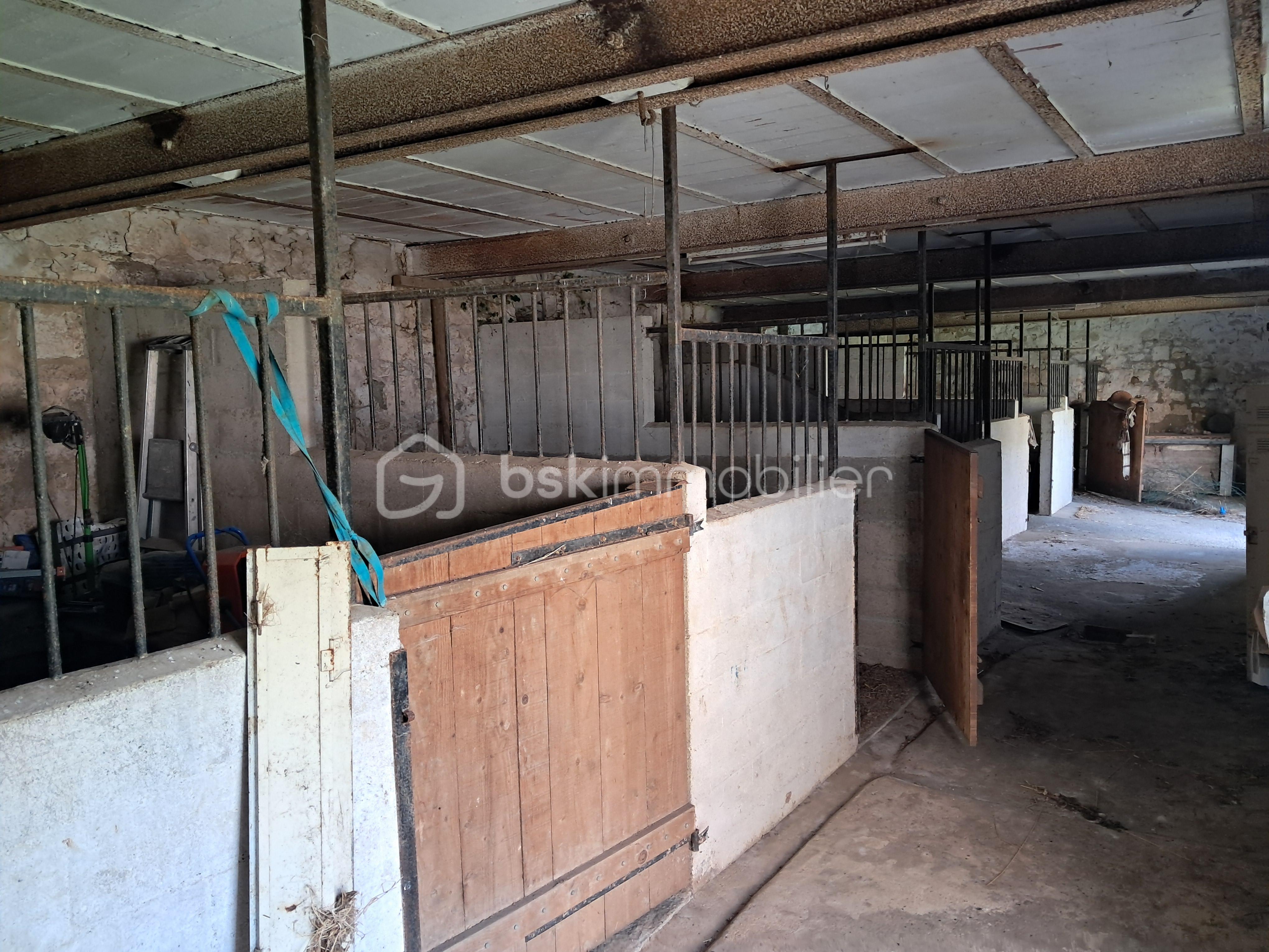 Maison de 189 m² - 20250726_115701.jpg