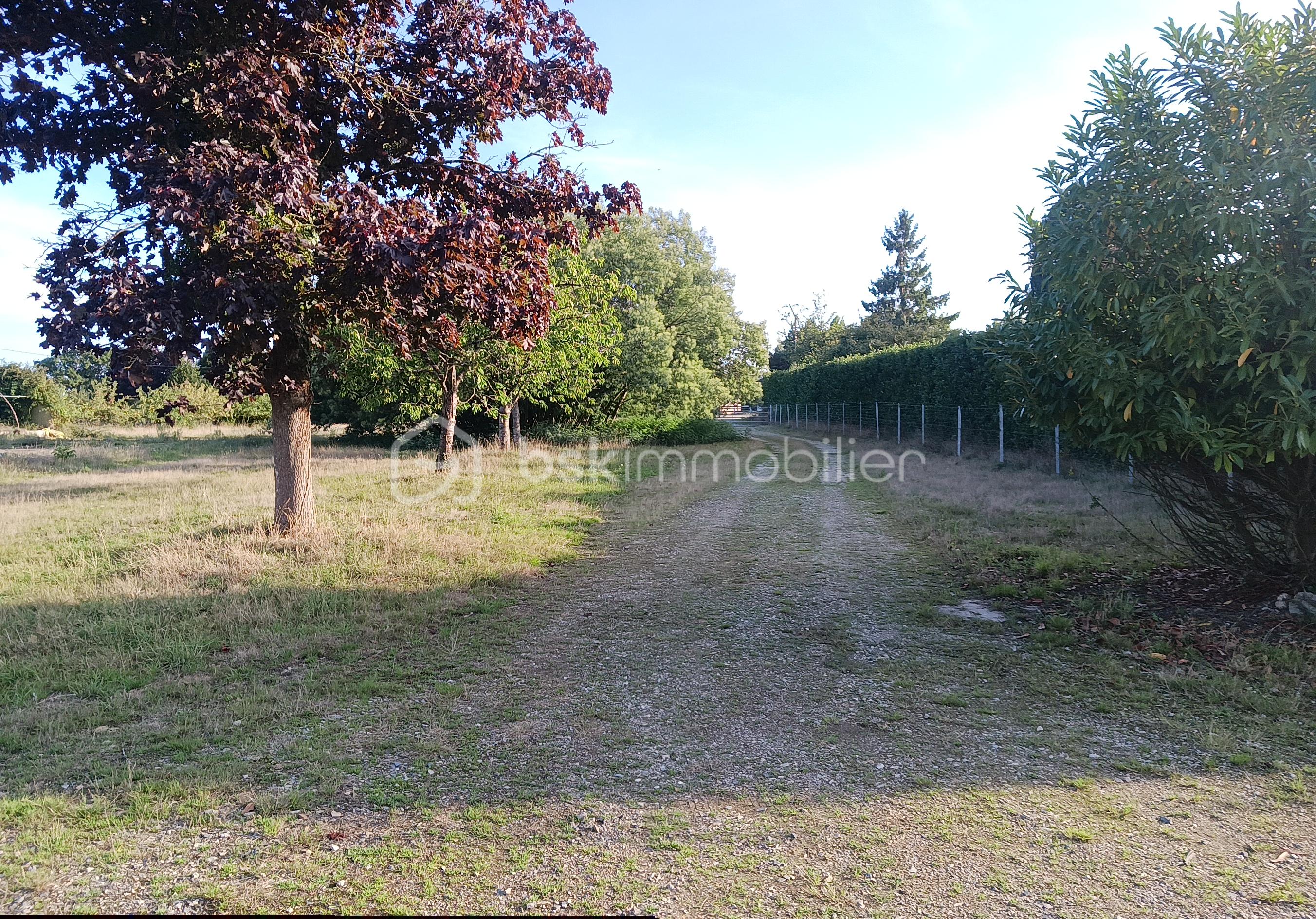 Terrain de loisirs de 10 113 m² - 20250906_184130.jpg