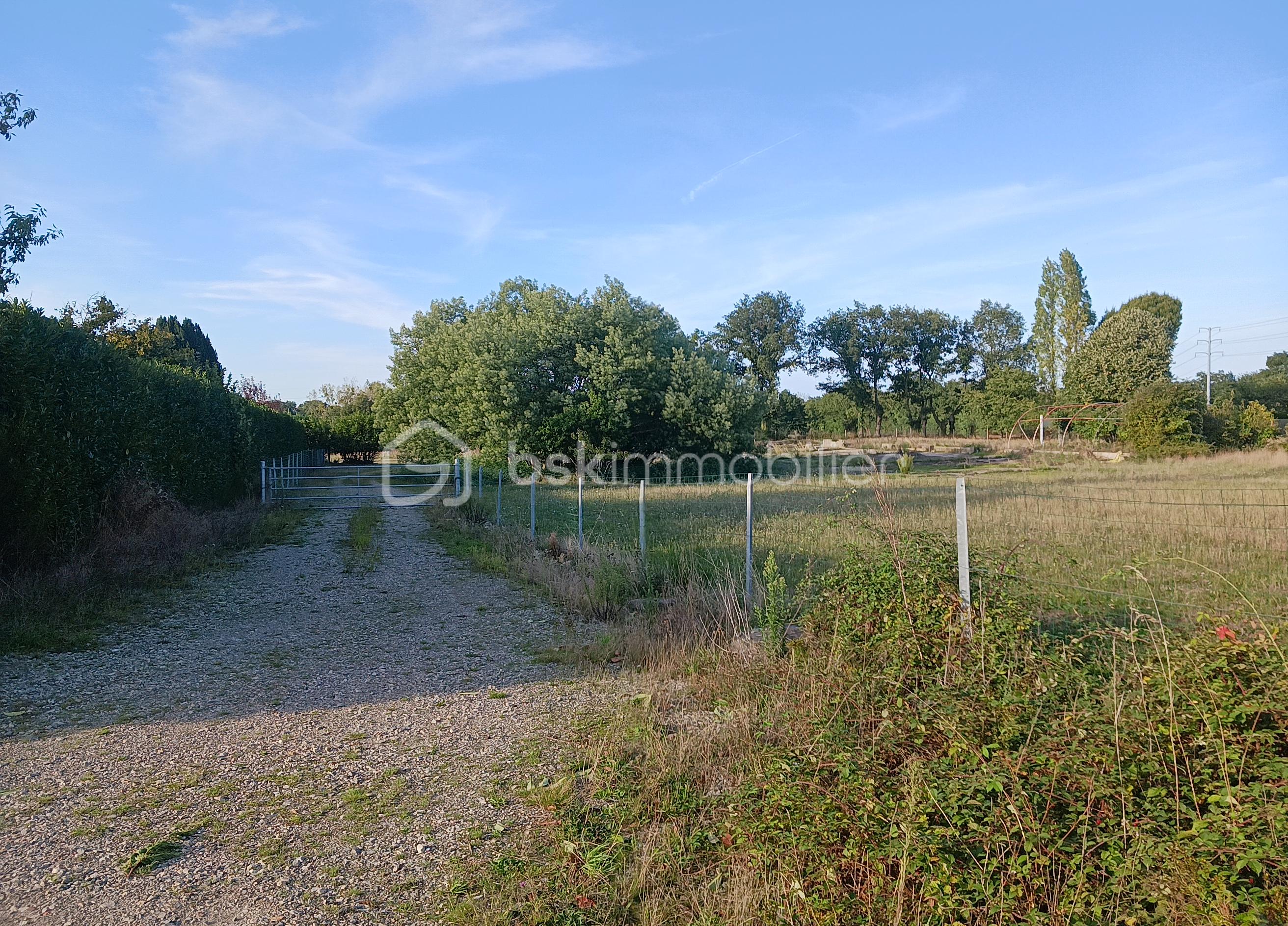 Terrain de loisirs de 10 113 m² - 20250906_183424.jpg