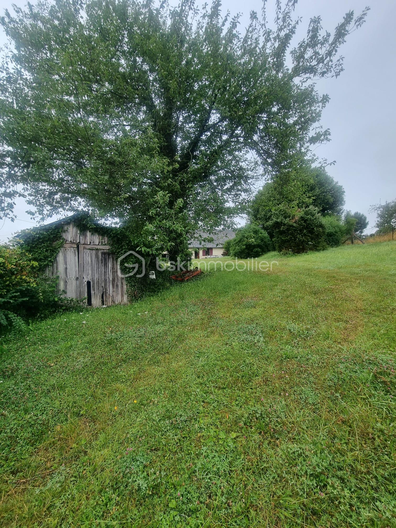 WhatsApp Image 2026-03-02 at 15.57.43.jpeg