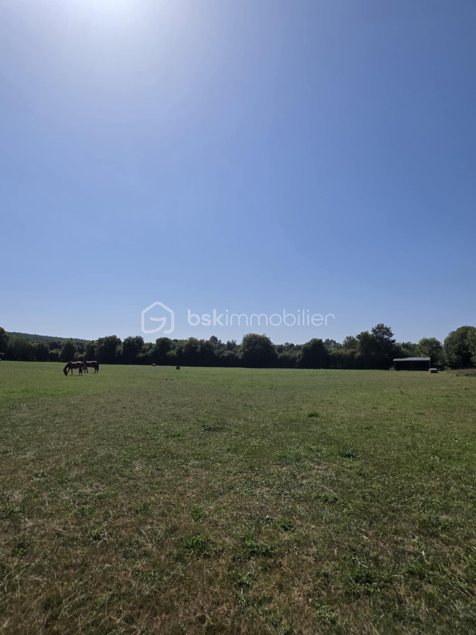 Terrain de 27 100 m² - 24170eb6-b61b-4de2-81ad-0e623ba6def0.jpg