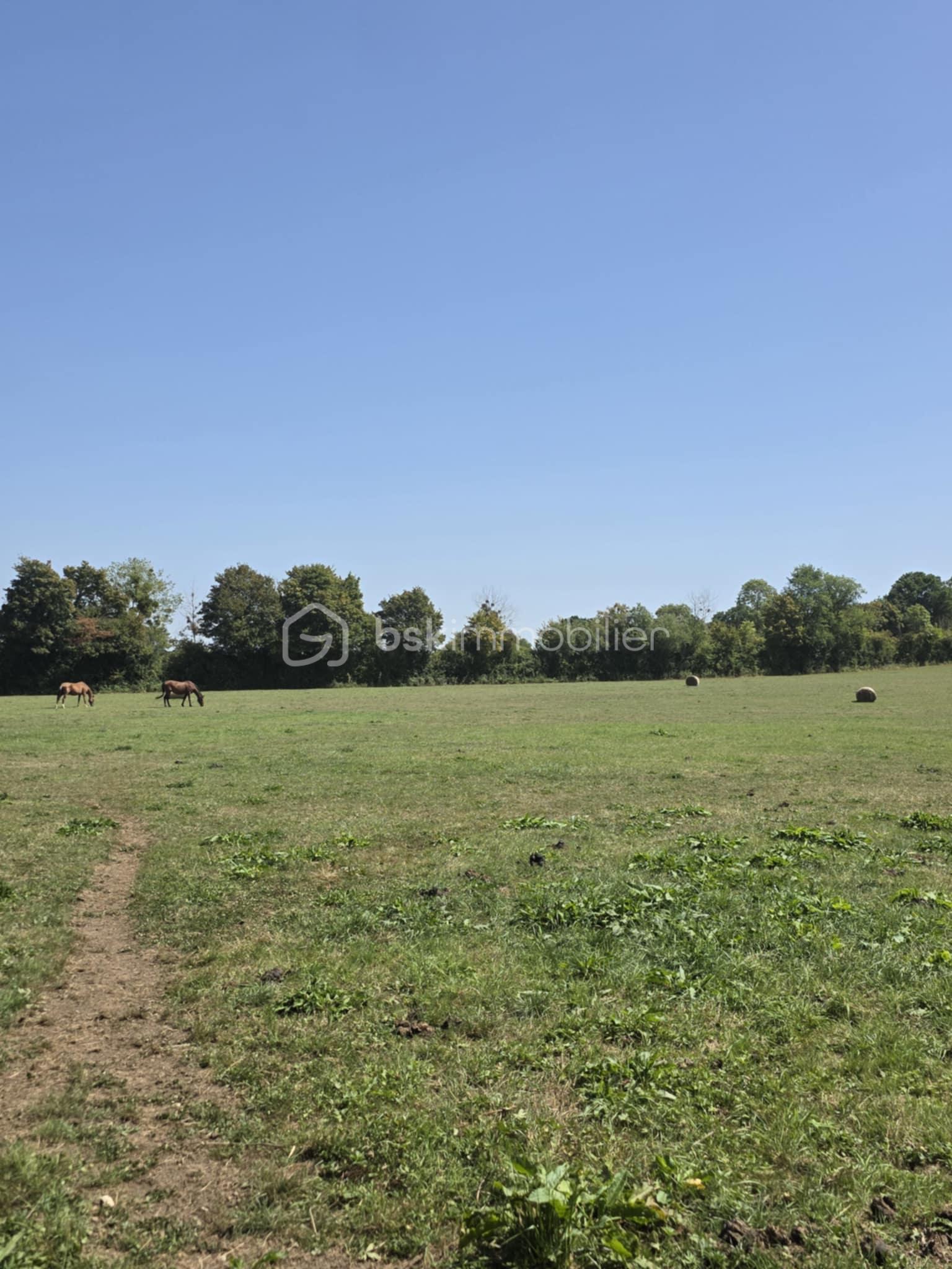 Terrain de 27 100 m² - e3c05f0a-7250-4271-a84d-69898f2e1be6.jpg