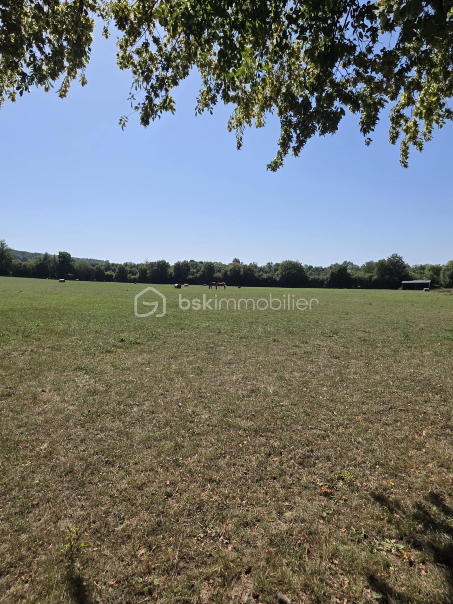 Terrain de 27 100 m² - 27e3d15c-5f2c-4a46-9f2d-4c69fd757b2c.jpg