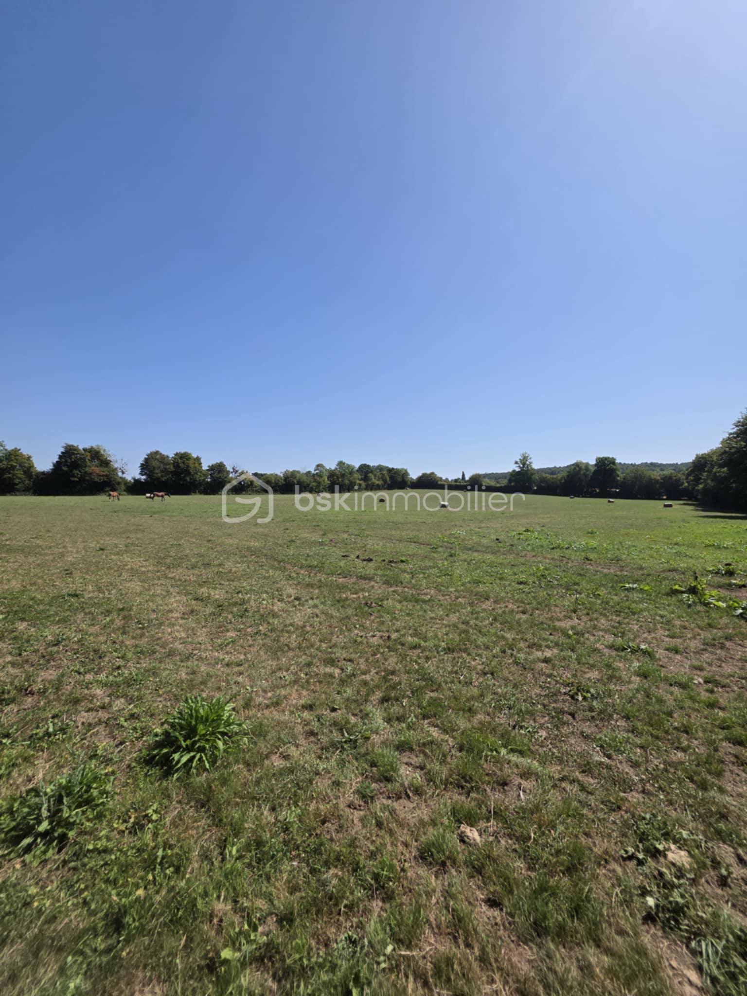 Terrain de 27 100 m² - 5050cd9d-dacd-4384-8dea-bcc597fbad15.jpg