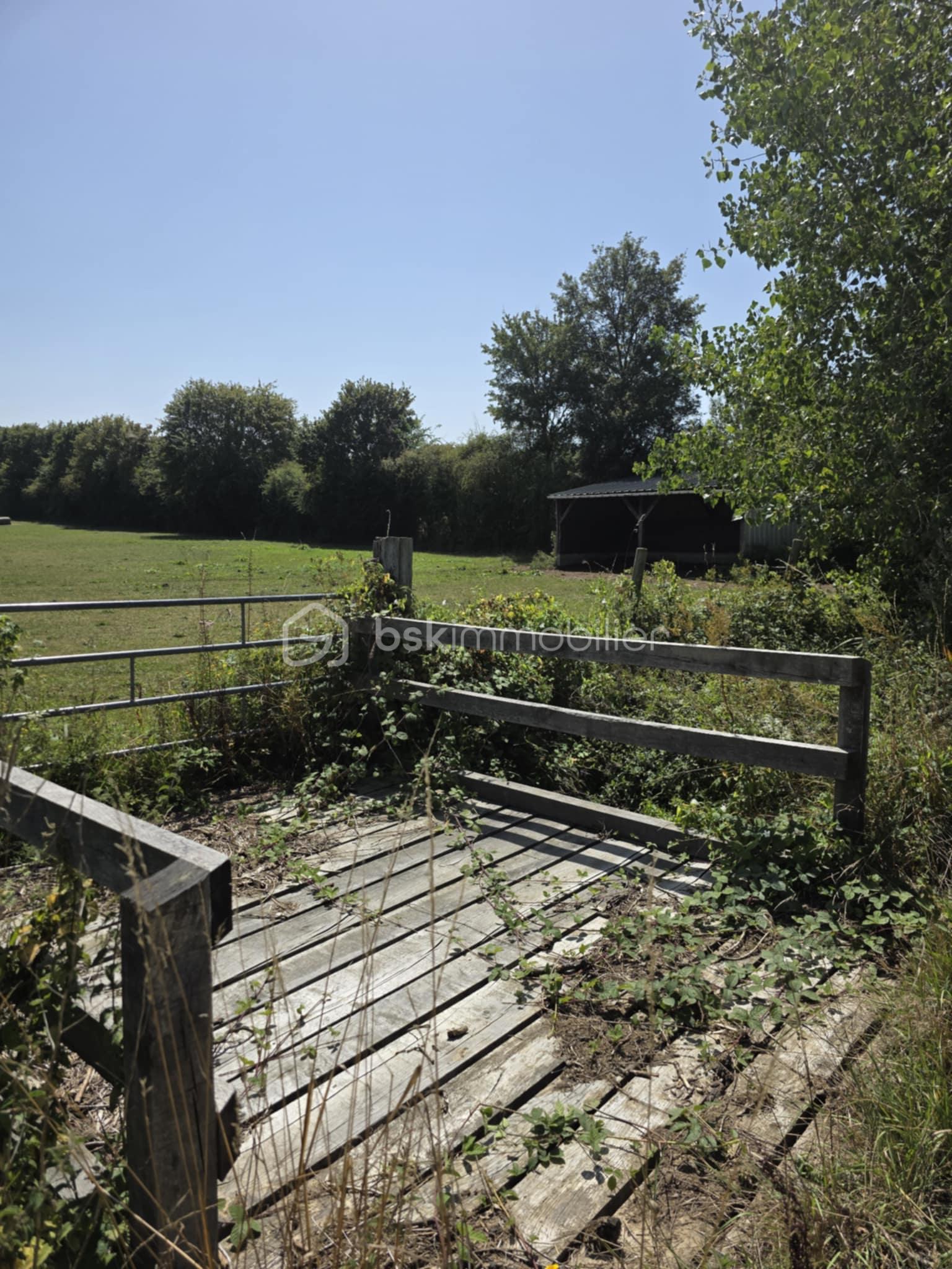 Terrain de 27 100 m² - d686b073-29ac-4537-9908-ca2f80d03dff.jpg