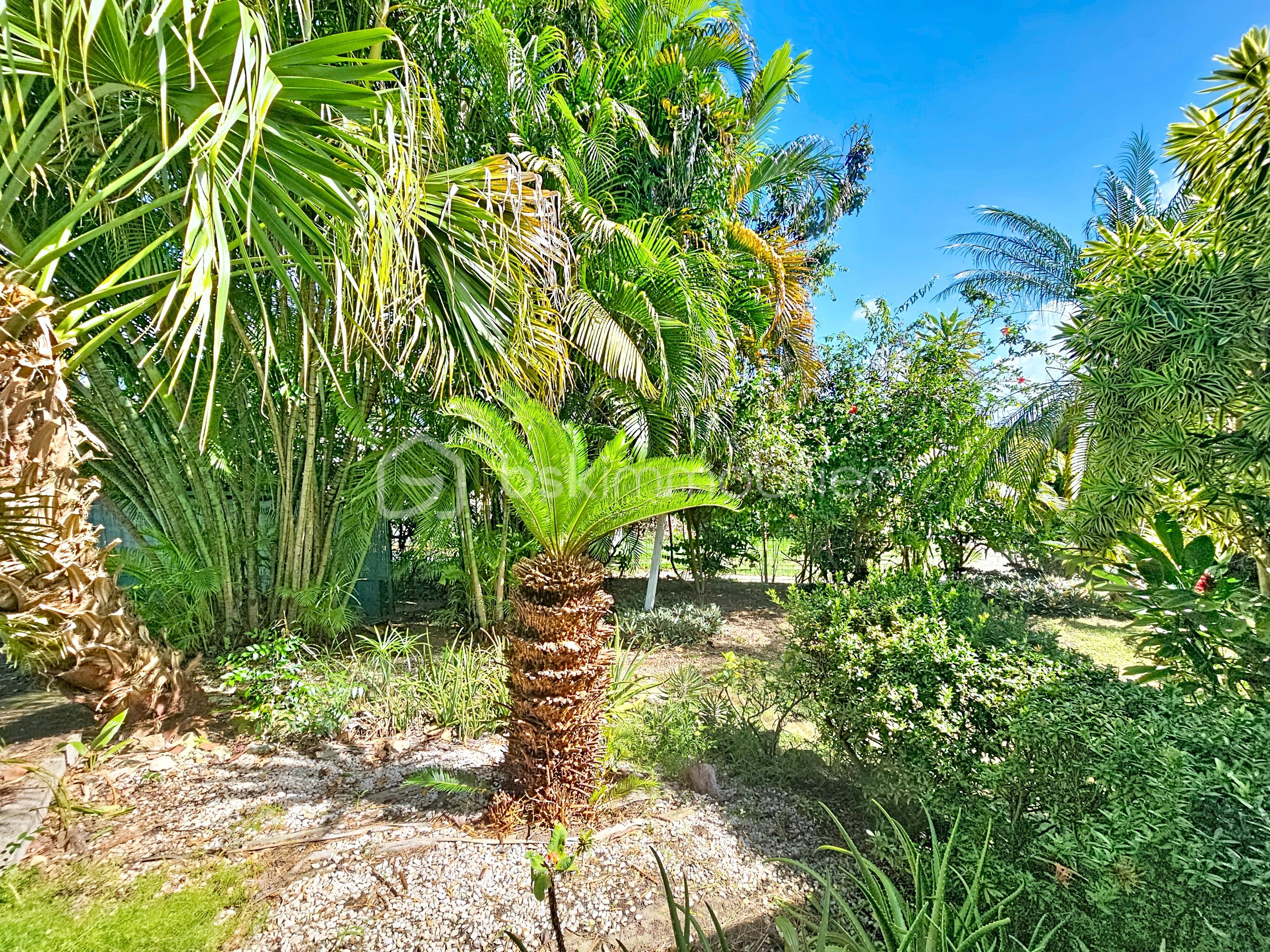 Maison de 110,98 m² - gueydan_00013.jpg