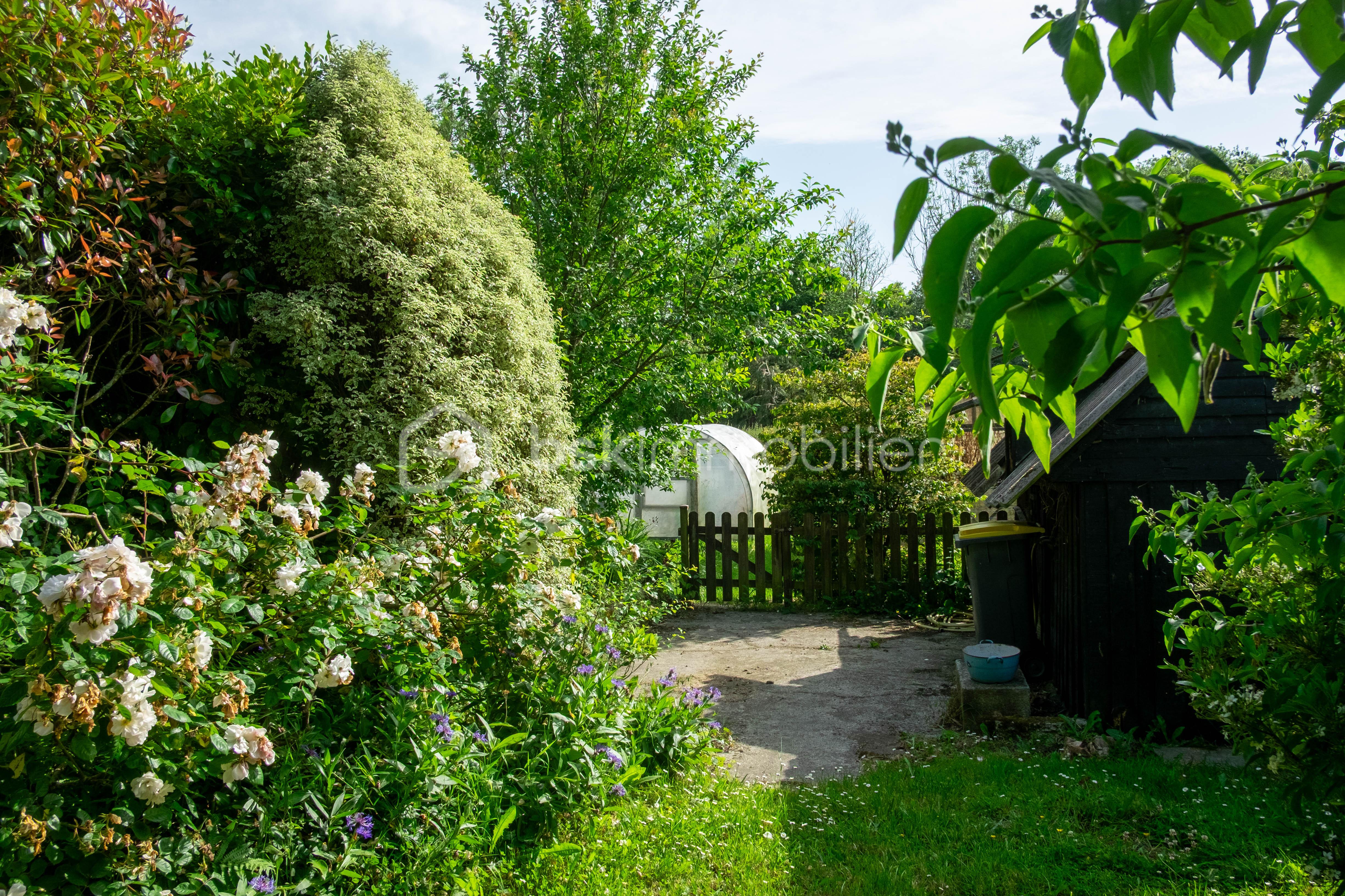 DSCF2278.jpg