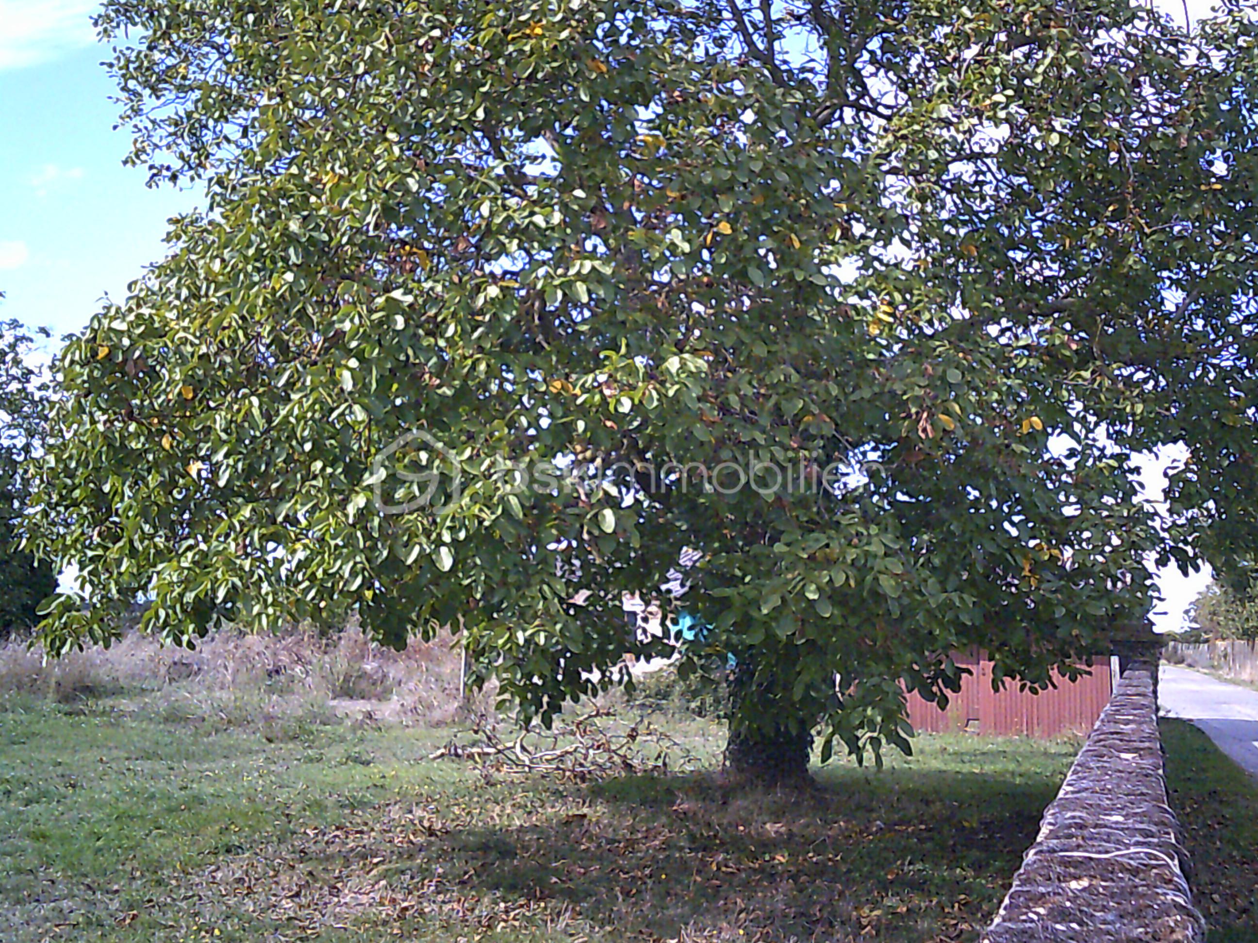 Terrain de 570 m² - achat terrain constructible saint martin la pallu 86380.JPG