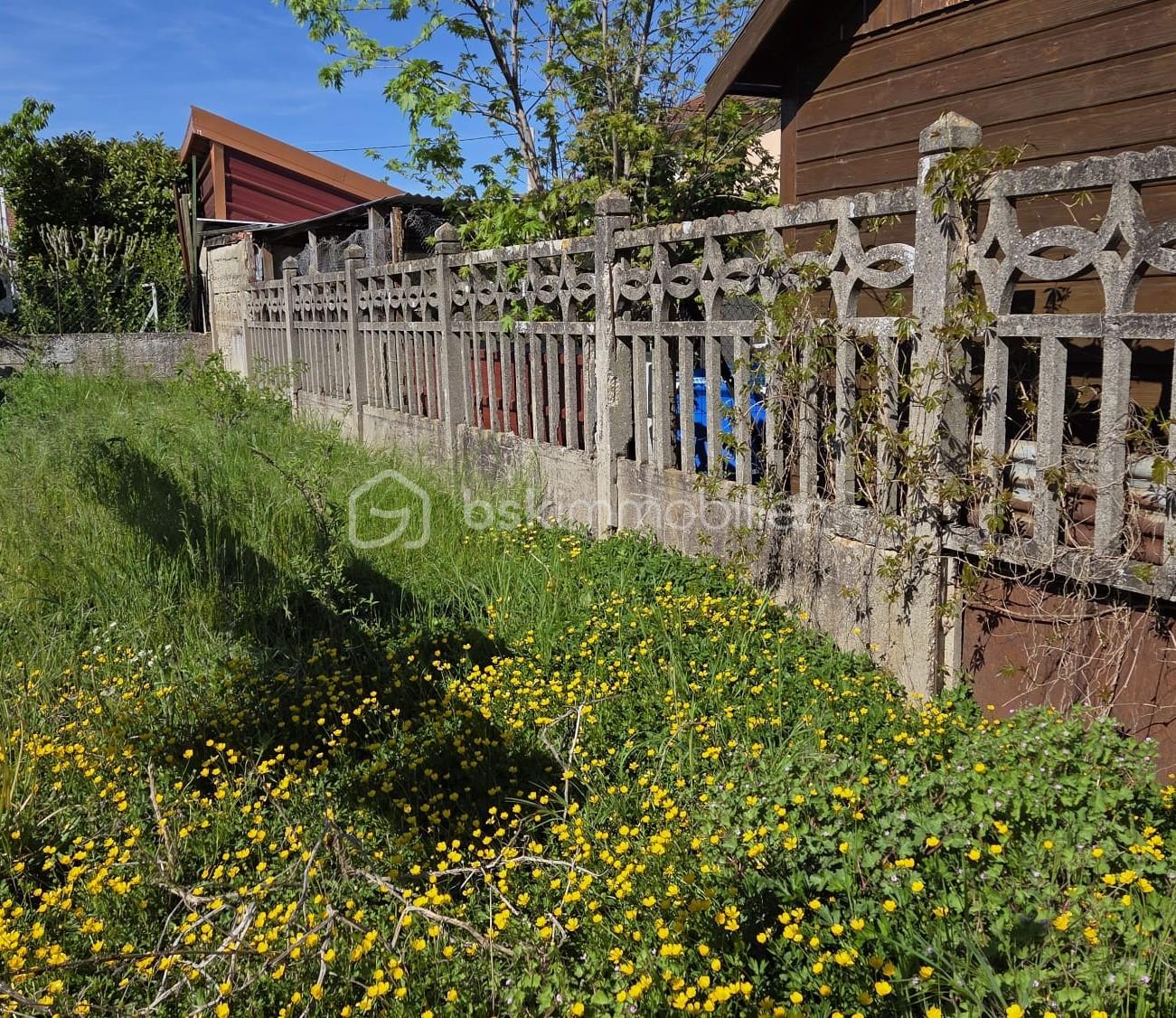 WhatsApp Image 2026-04-16 at 17.15.071.jpeg