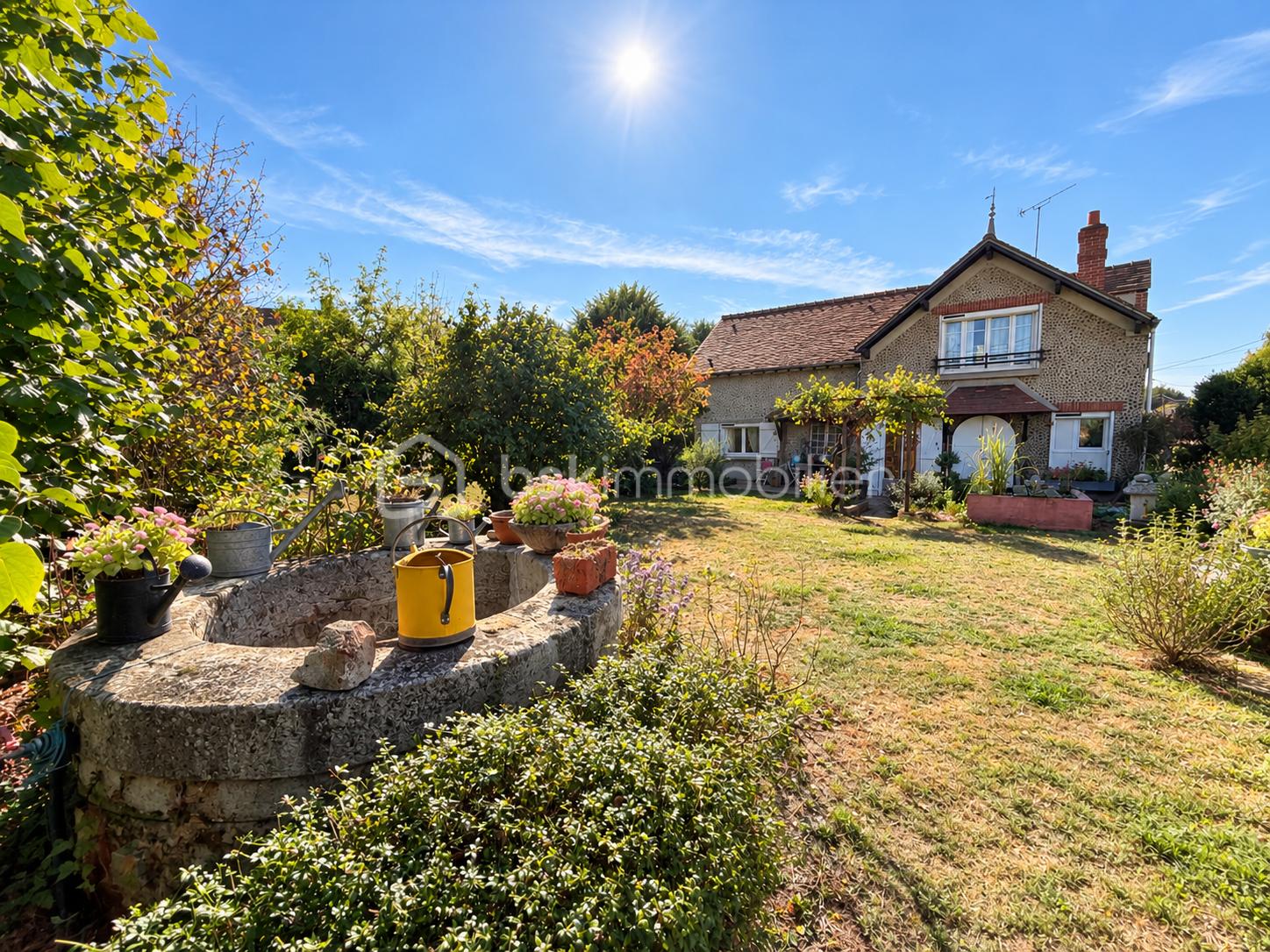 Jardin cottage ensoleillé avec puits fleuri.png