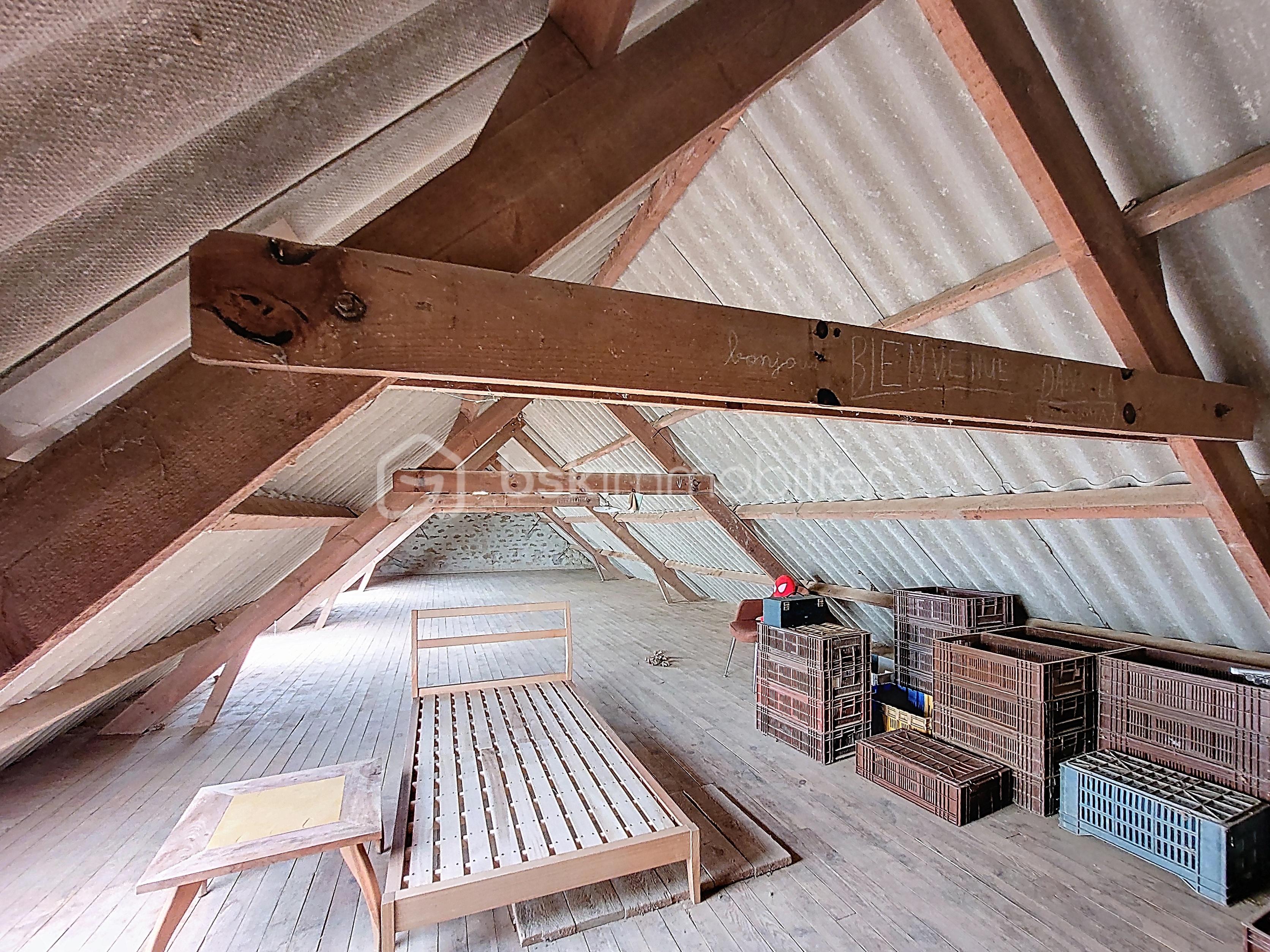 maltot_00001 (6).jpg