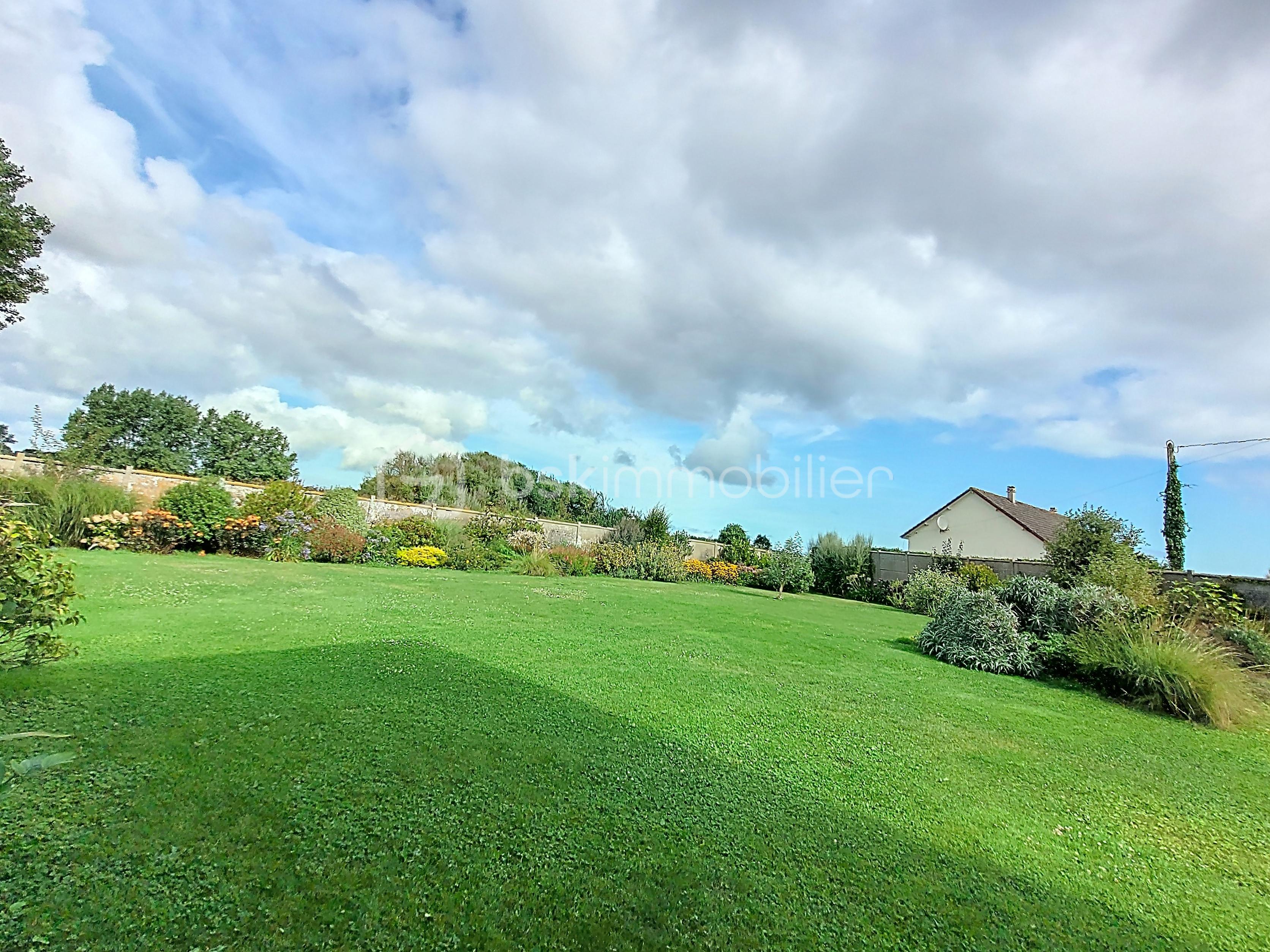 maltot_00001 (8).jpg