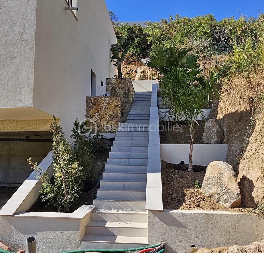 20250801_093759 B.jpg