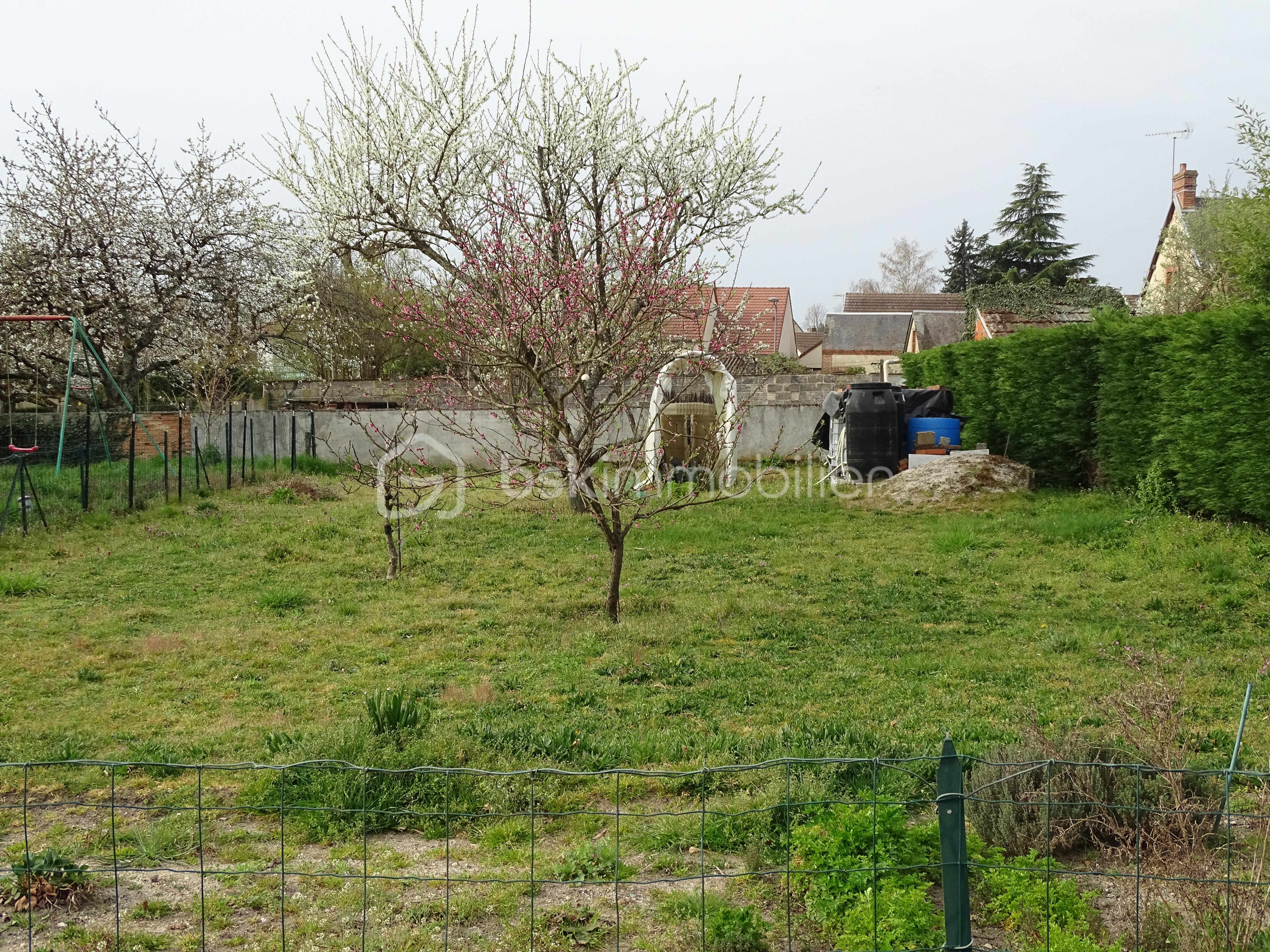 1 rue du chap de foire (15).JPG