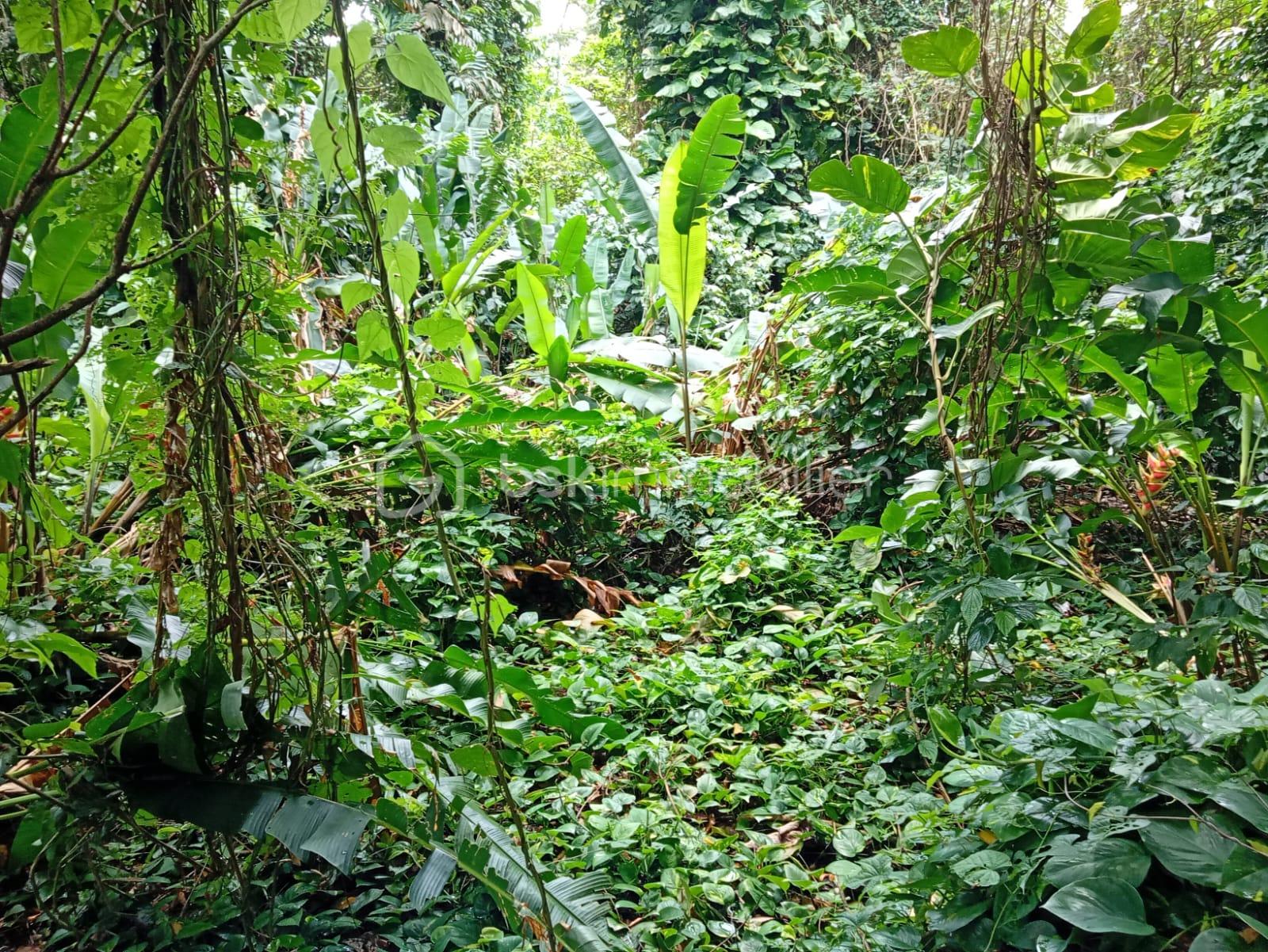 WhatsApp Image 2026-04-13 at 15.20.47 (1).jpeg