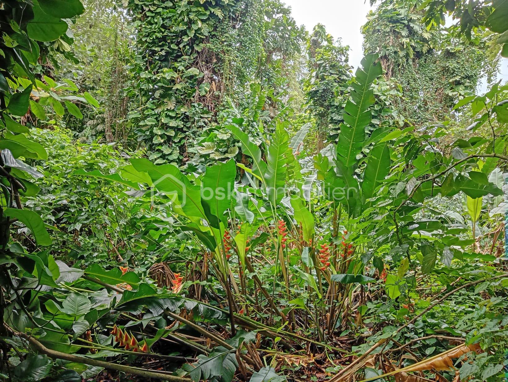 WhatsApp Image 2026-04-13 at 15.20.47.jpeg