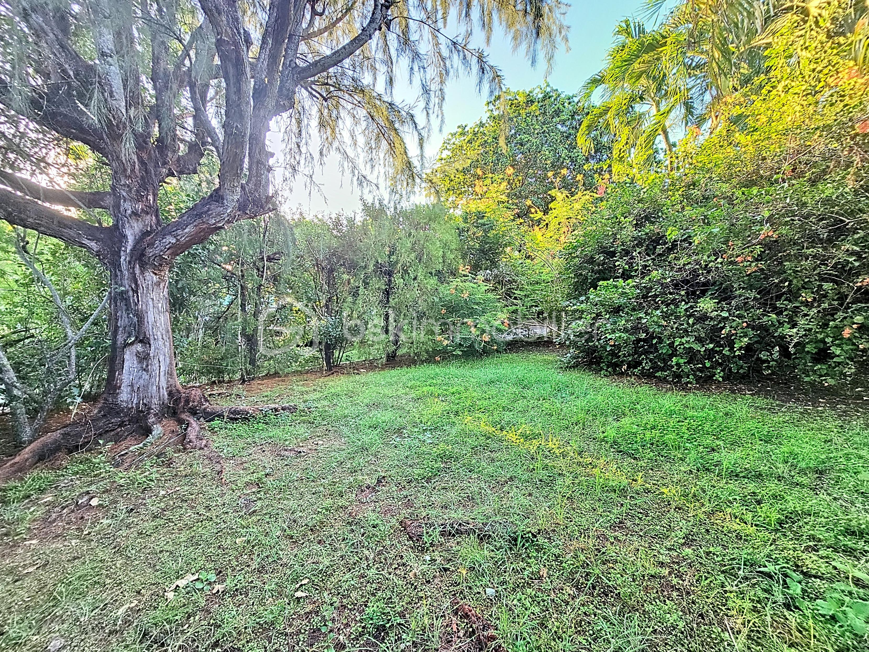 Maison de 94 m² - jullien-vallee-d-or_00040_60e2689.jpg