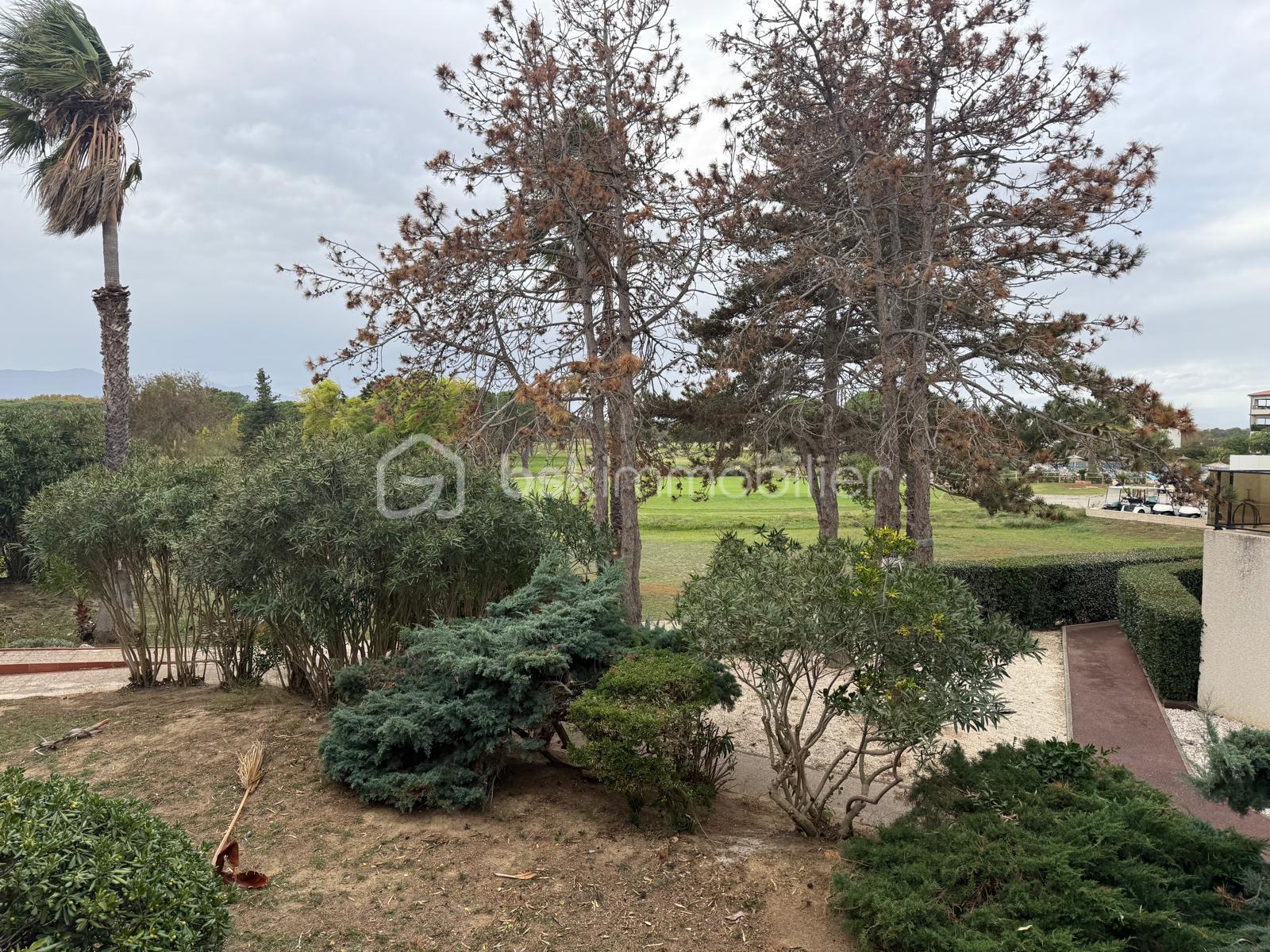 Appartement de 55,53 m² - IMG_1141.jpeg