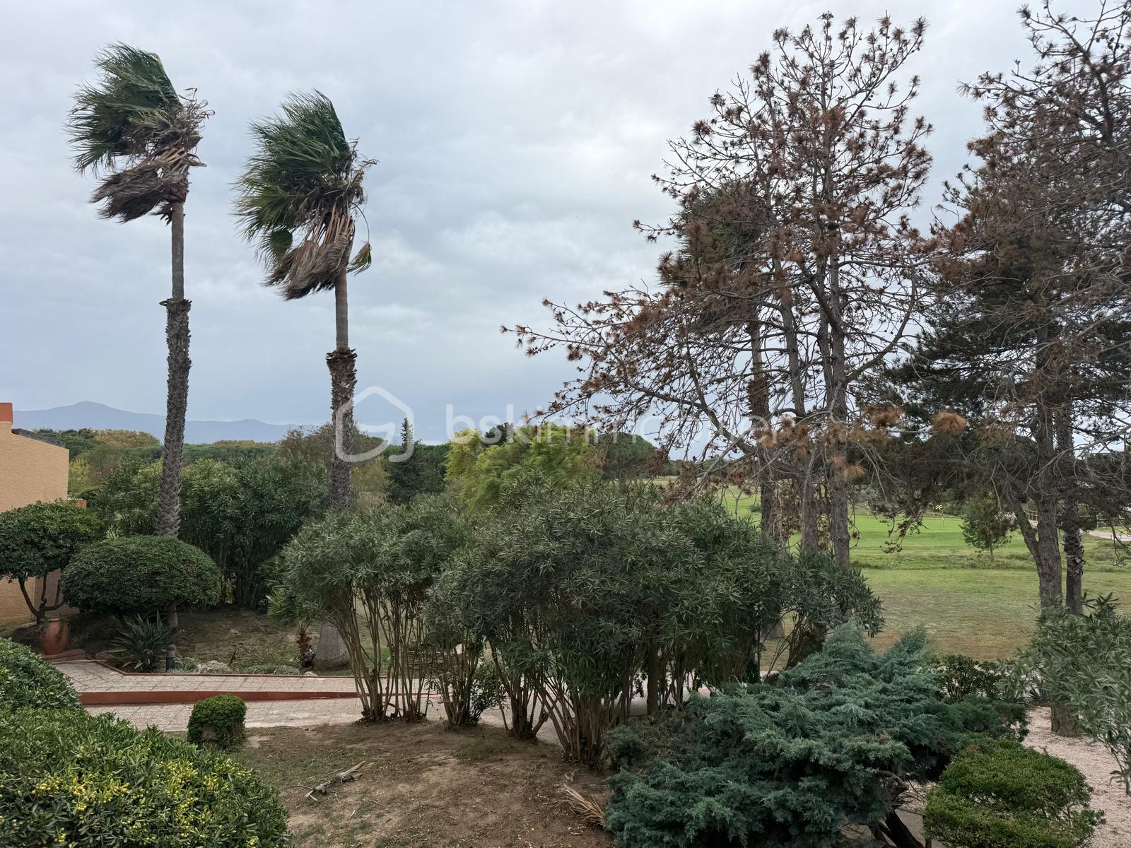 Appartement de 55,53 m² - IMG_1147.jpeg