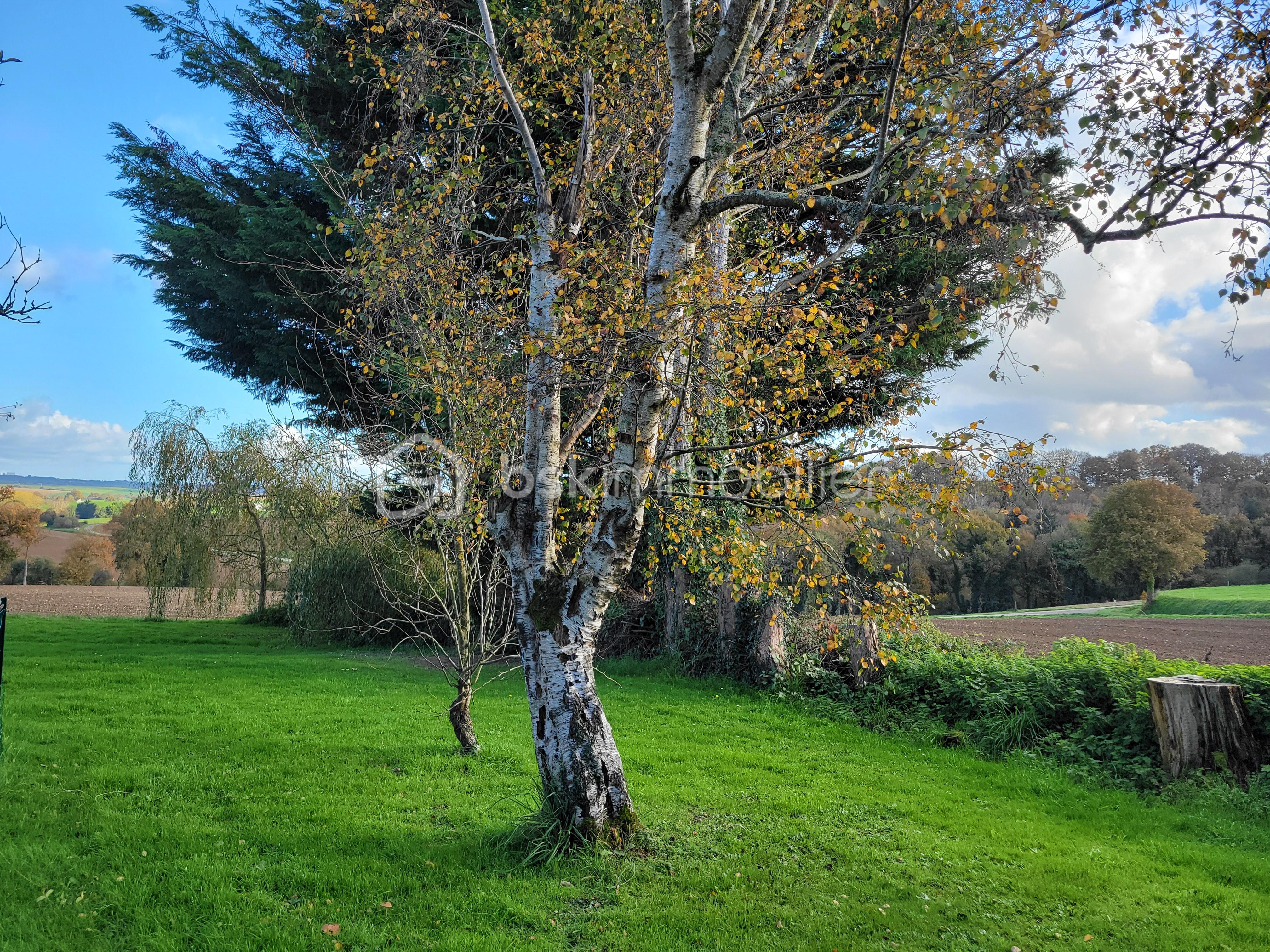 Maison traditionnelle de 127 m² - 20251108_152542.jpg