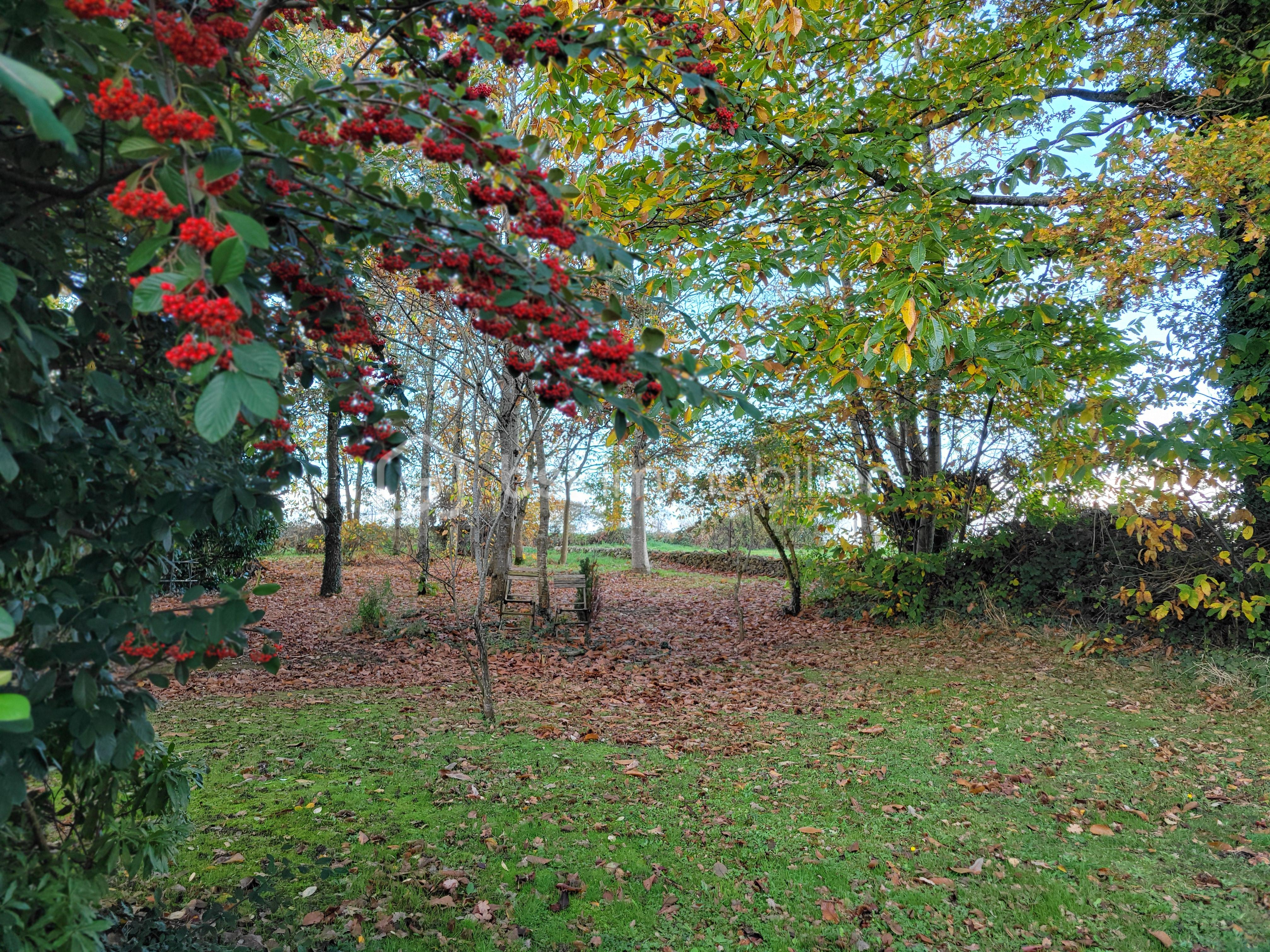 Maison traditionnelle de 127 m² - 20251108_152901.jpg