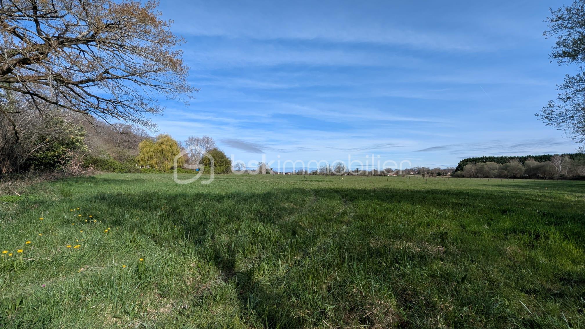 WhatsApp Image 2026-03-16 at 21.58.20 (7).jpeg