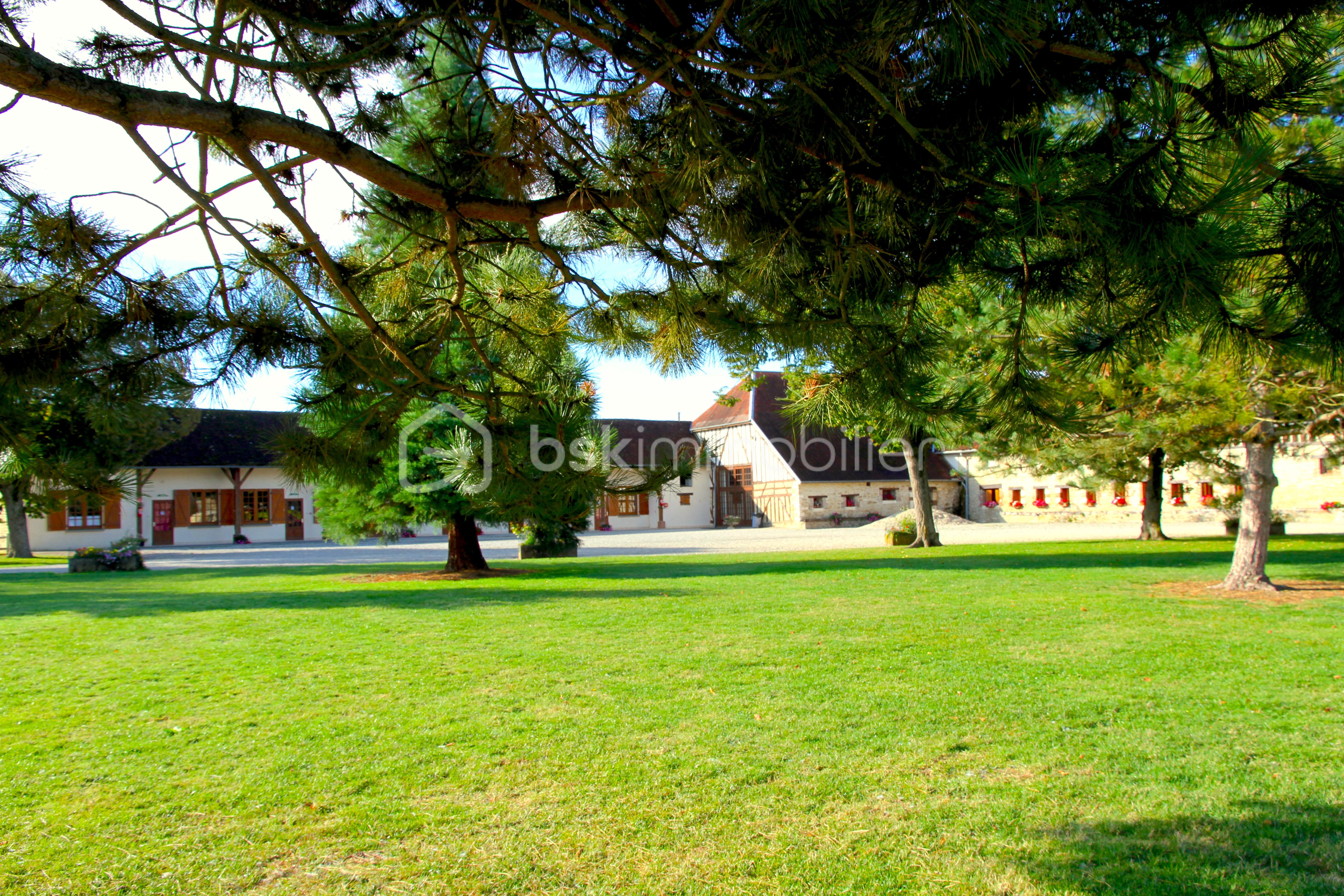 2,1 EXTER ANGLE IMG_1546.JPG