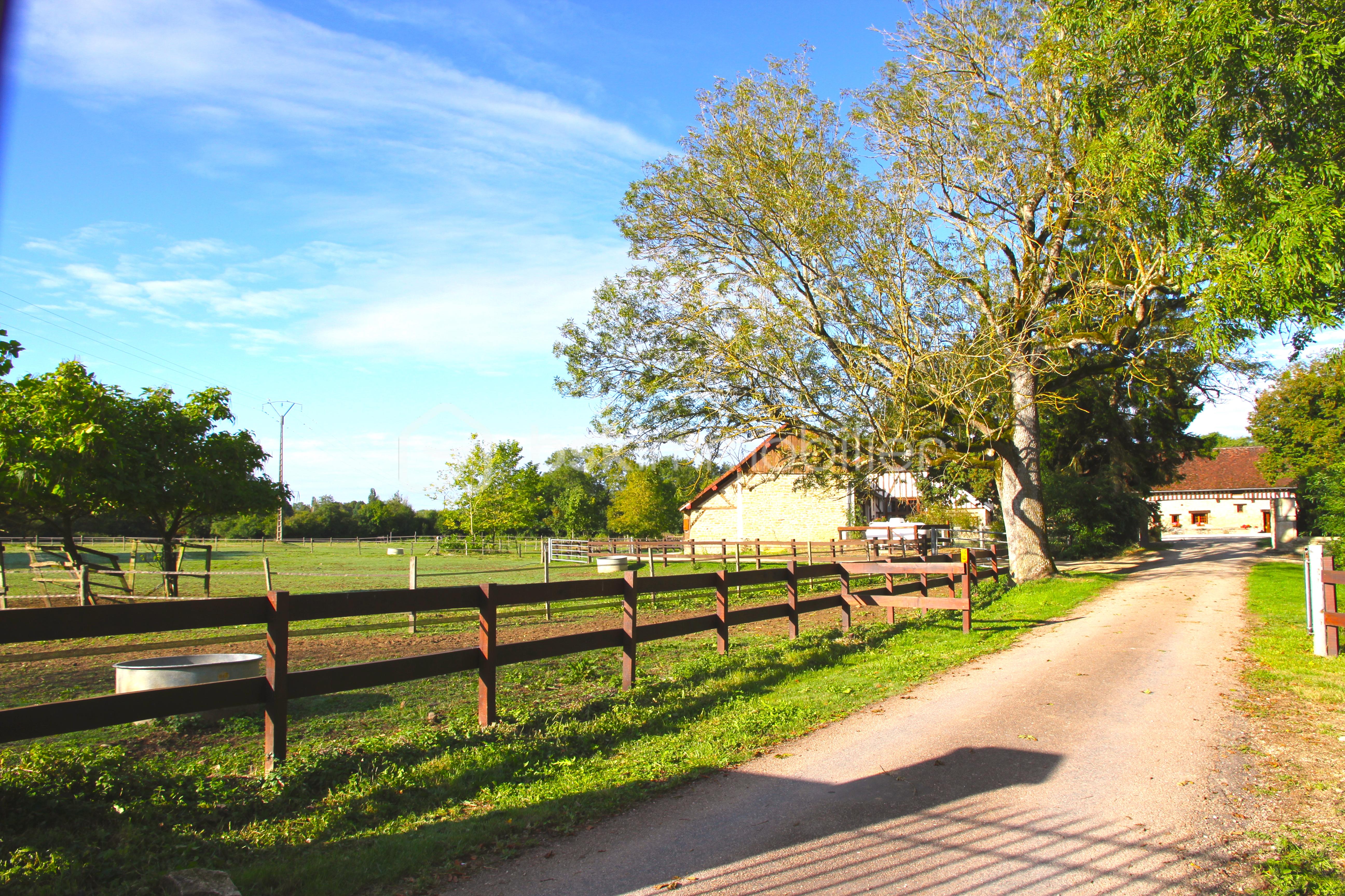 1,1 CHEMIN ENTRÉE IMG_1525.JPG