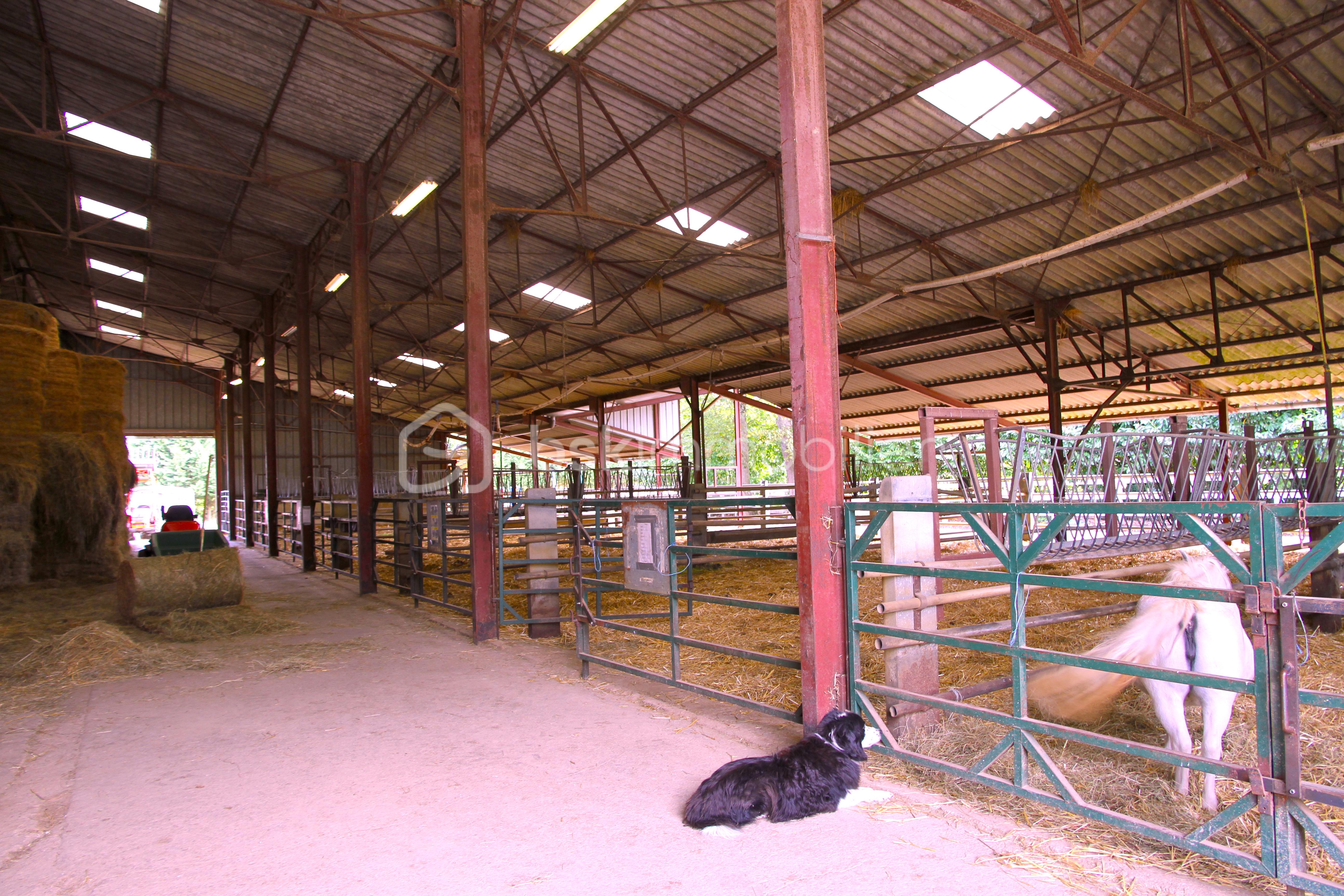 6 ECURIES IMG_1607.JPG