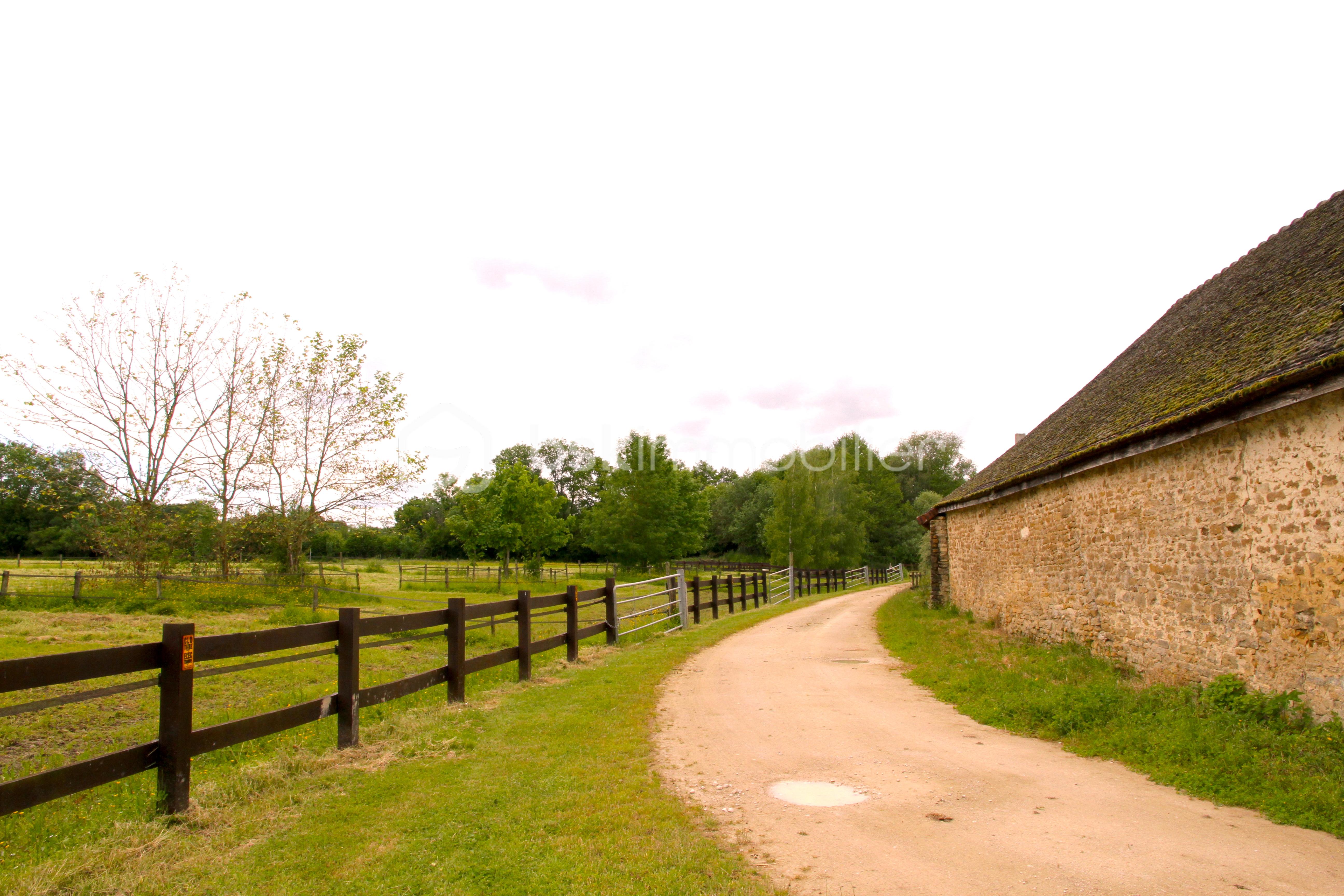 4,2 CHEMIN CÔTÉ PRÉS IMG_1191.JPG