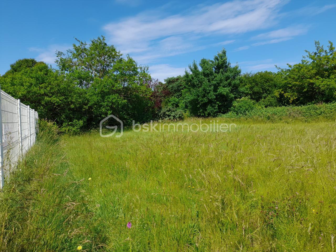 Terrain de 1 213 m² - 20250531_110000.jpg