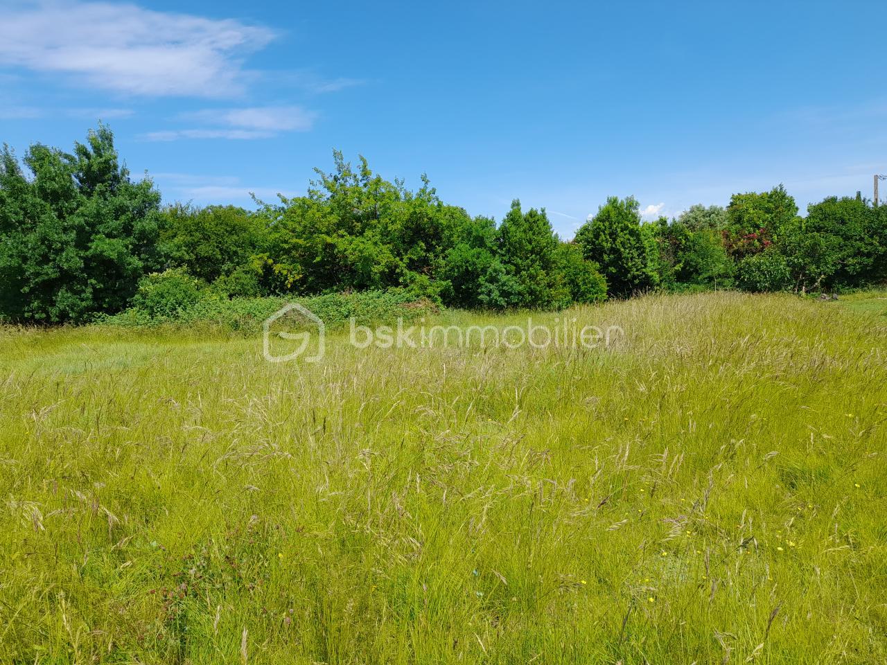 Terrain de 1 213 m² - 20250531_105922.jpg