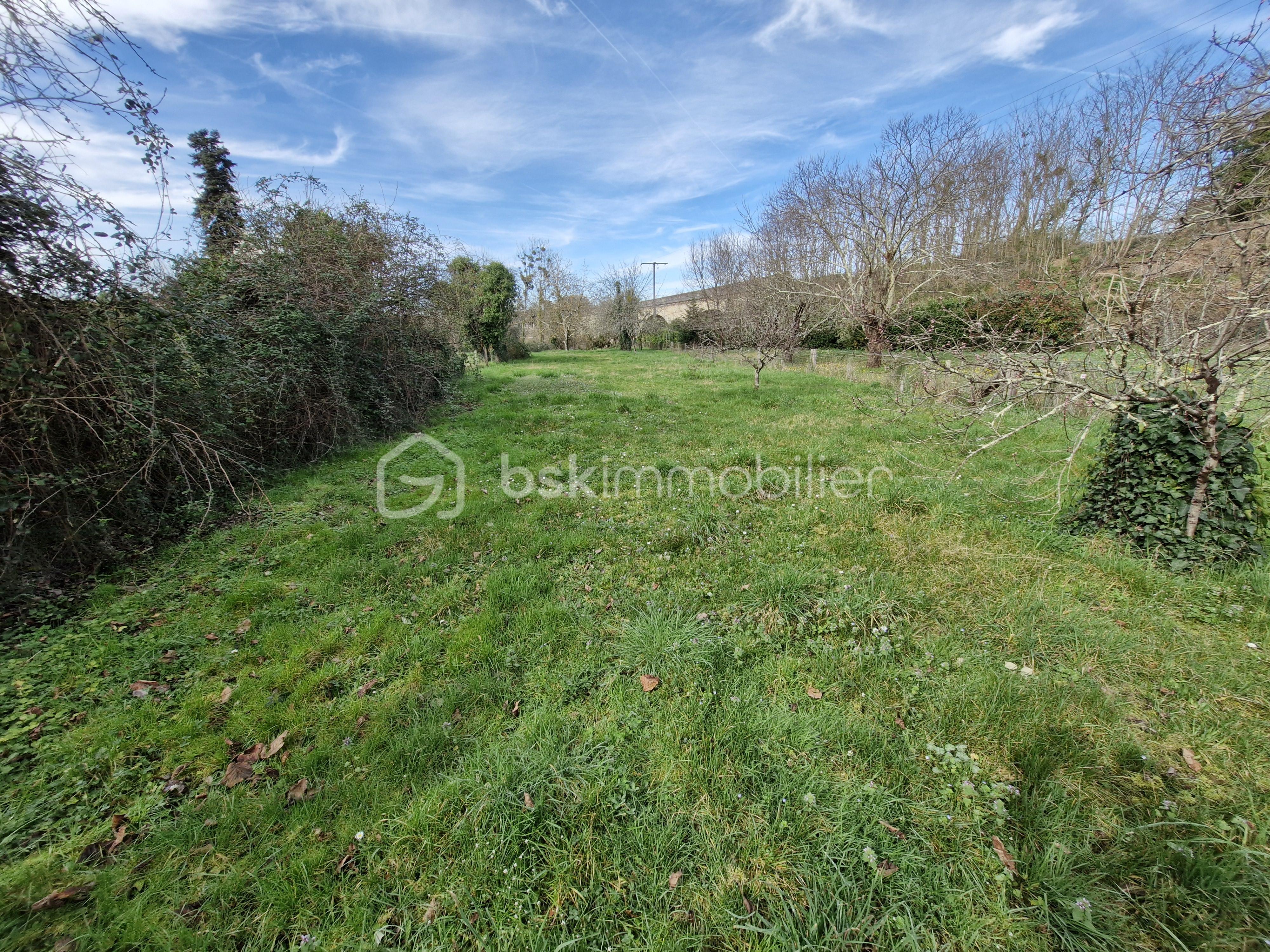 20260224_131249 (1).jpg