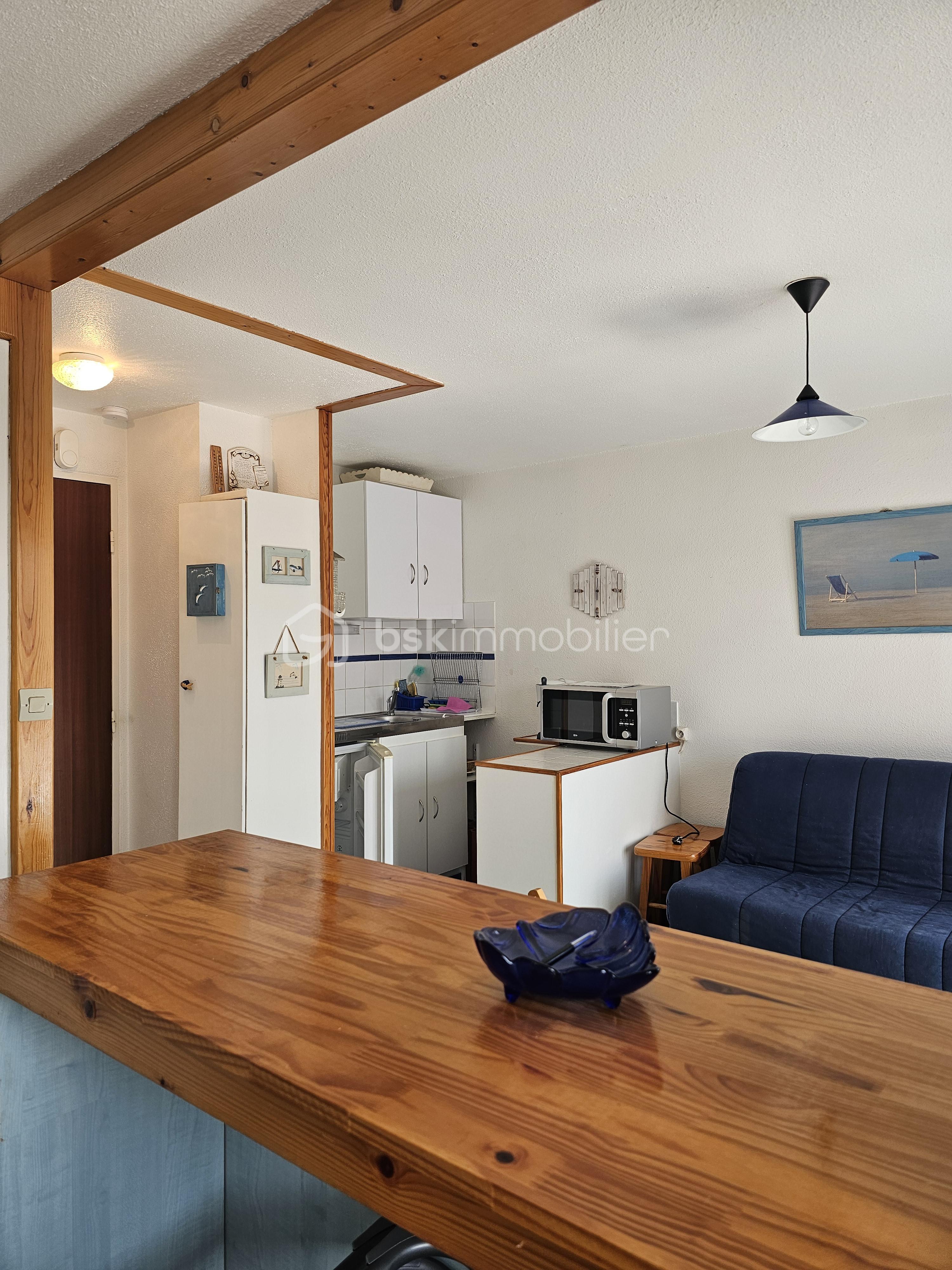 Appartement de 22,12 m² - 1000110654.jpg