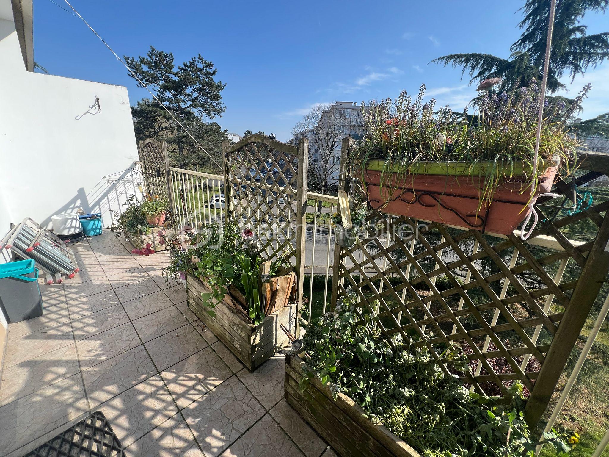 WhatsApp Image 2026-03-20 at 16.52.37.jpeg