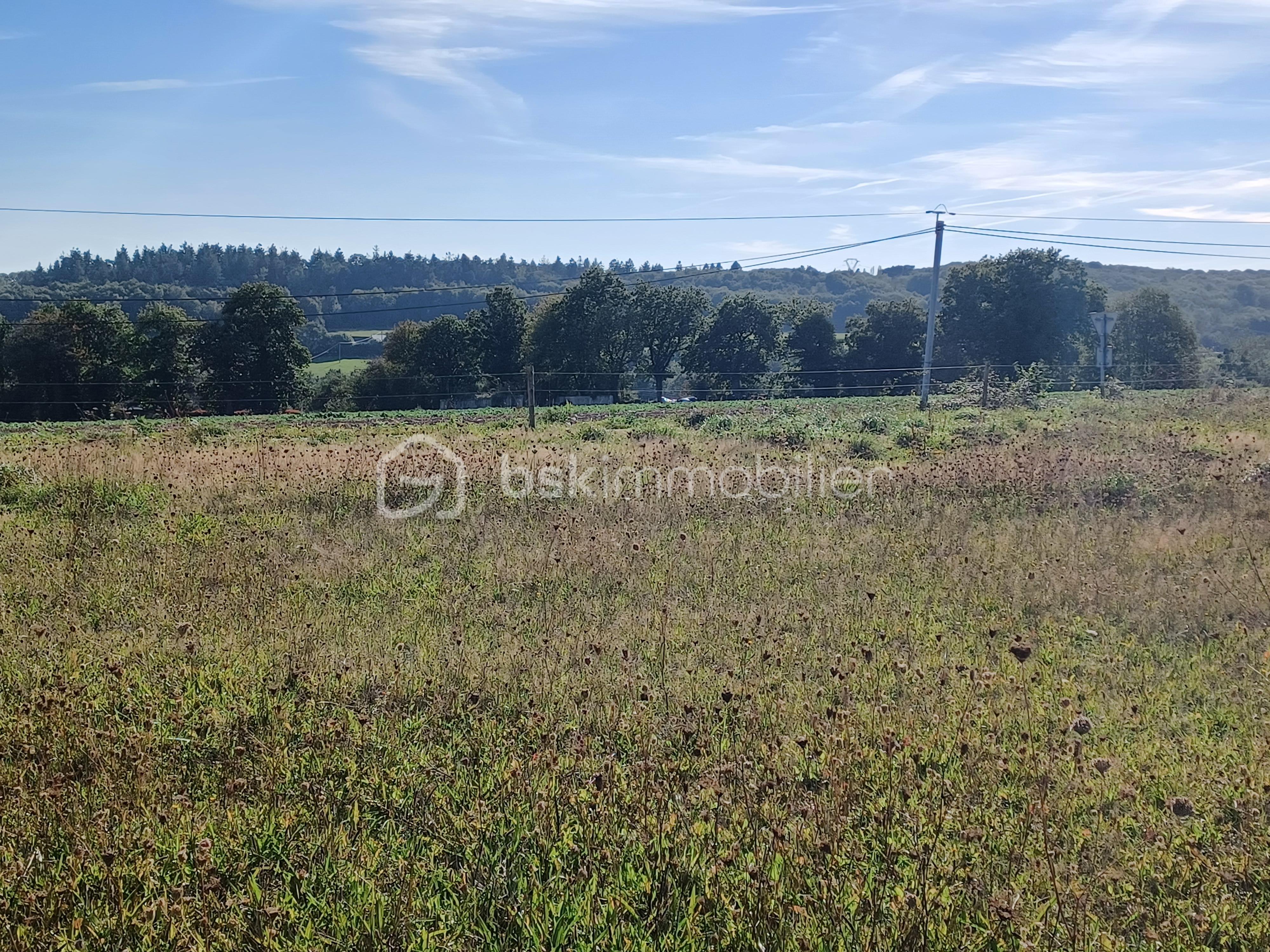 Terrain de 935 m² - 20230924_164621.jpg