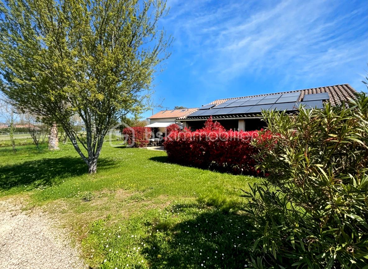 Monségur Jardin N°2.jpg