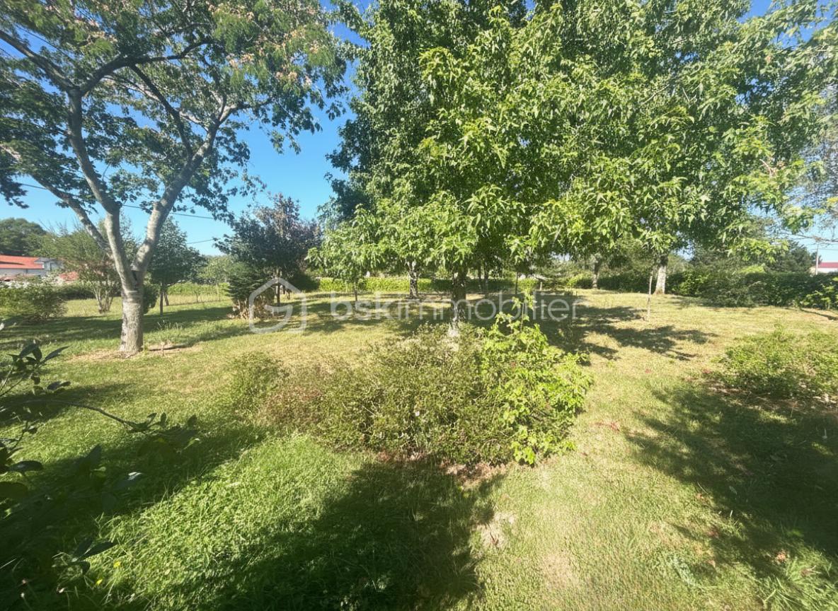 Monségur Jardin N°1.png