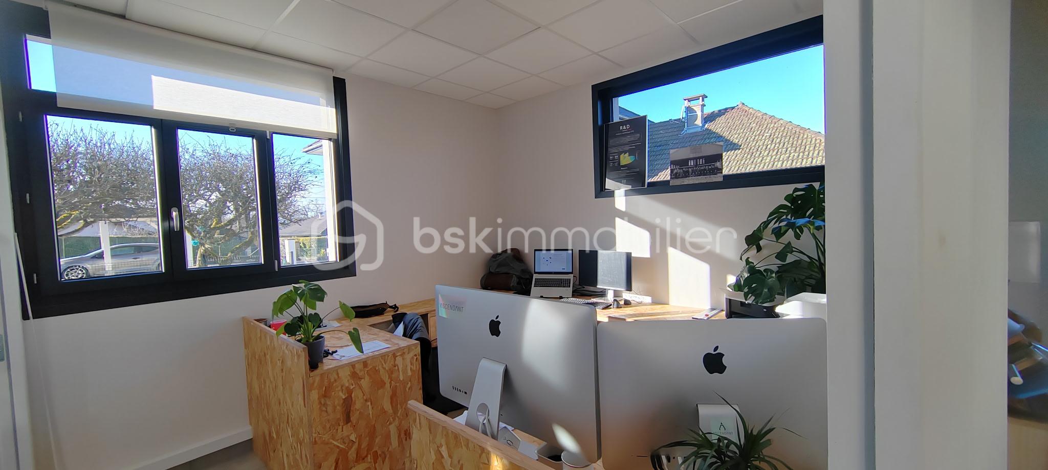 IMG_20260203_163020 (3).jpg