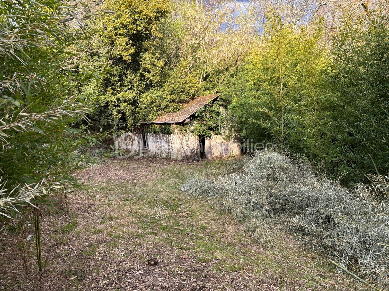 Maison de 185 m² - PHOTO-2025-04-02-19-03-16 3.jpg