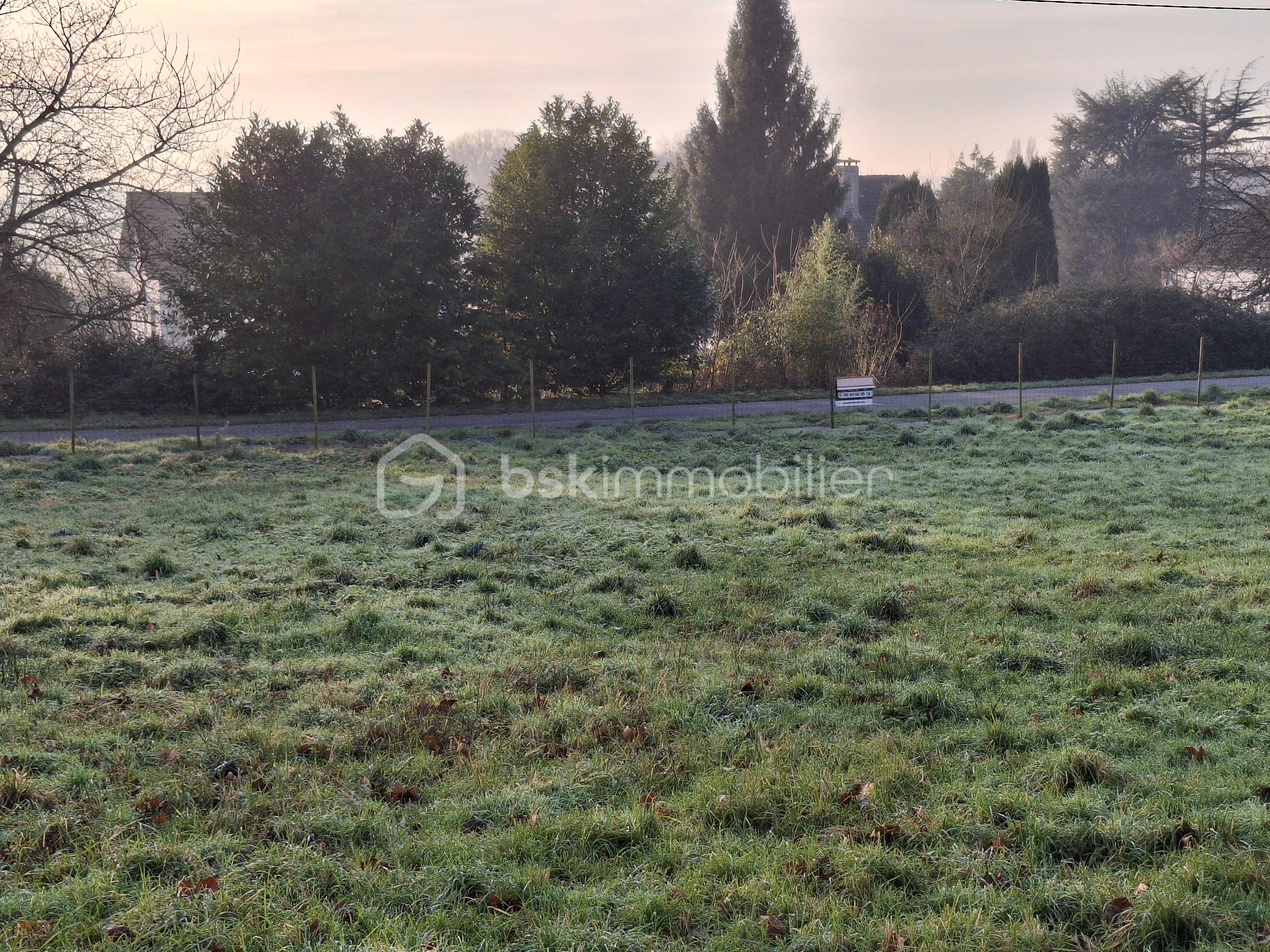 Terrain de 1 300 m² - Vue du haut 08.02 PAYSAGE.jpg