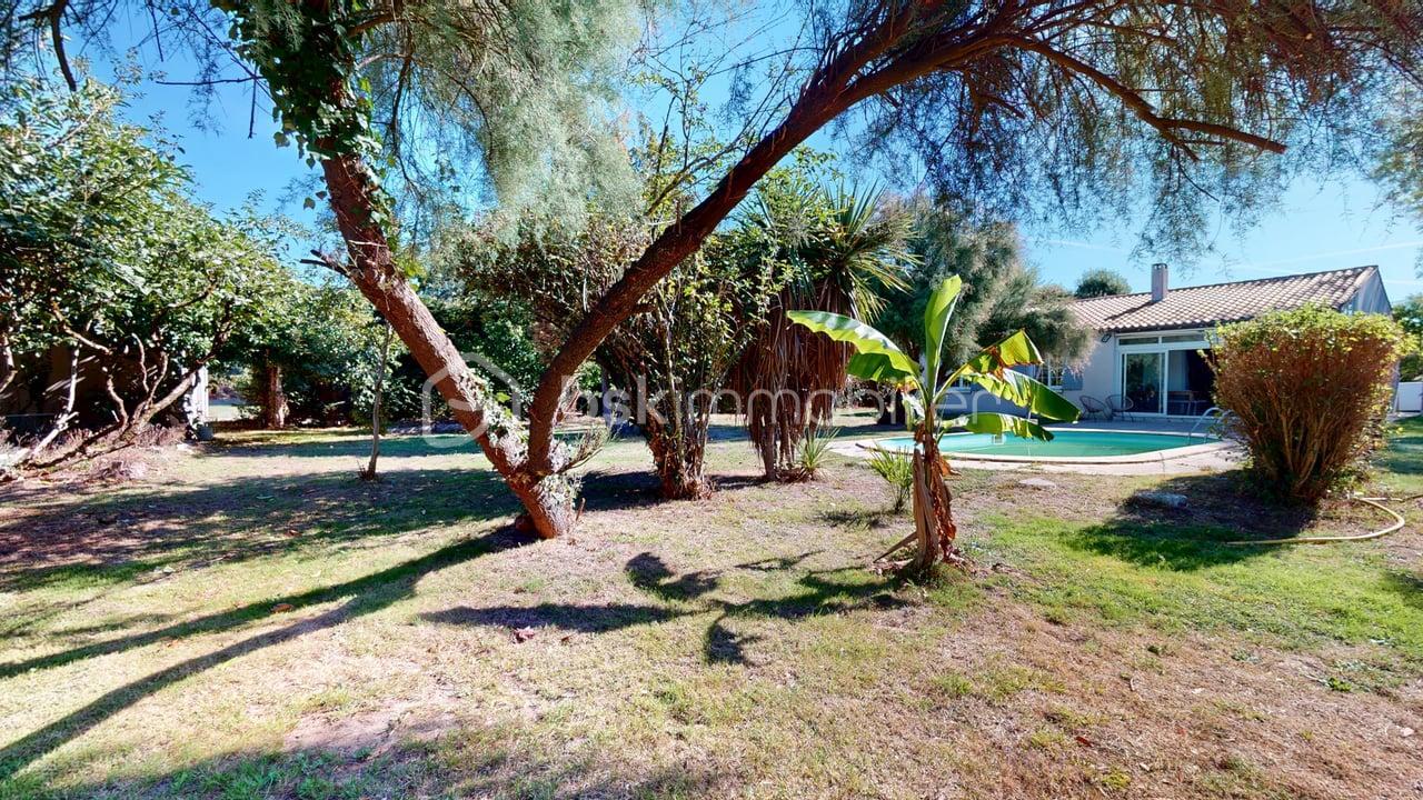 Maison-Nieul-les-Saintes-mandat-n-261038-09032026_190932.jpg